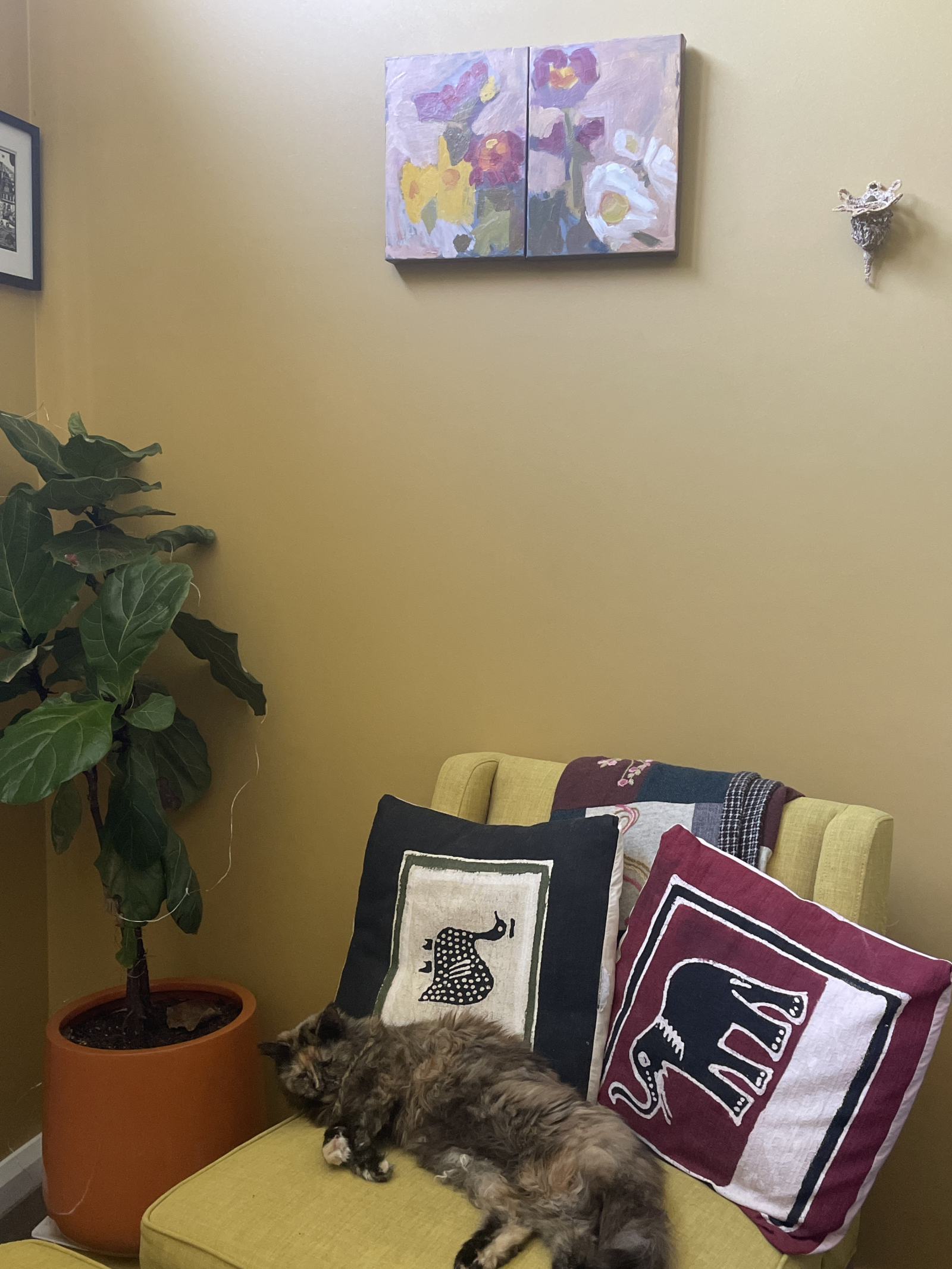 Bohdi one of our cats. Lounging in the back tv room