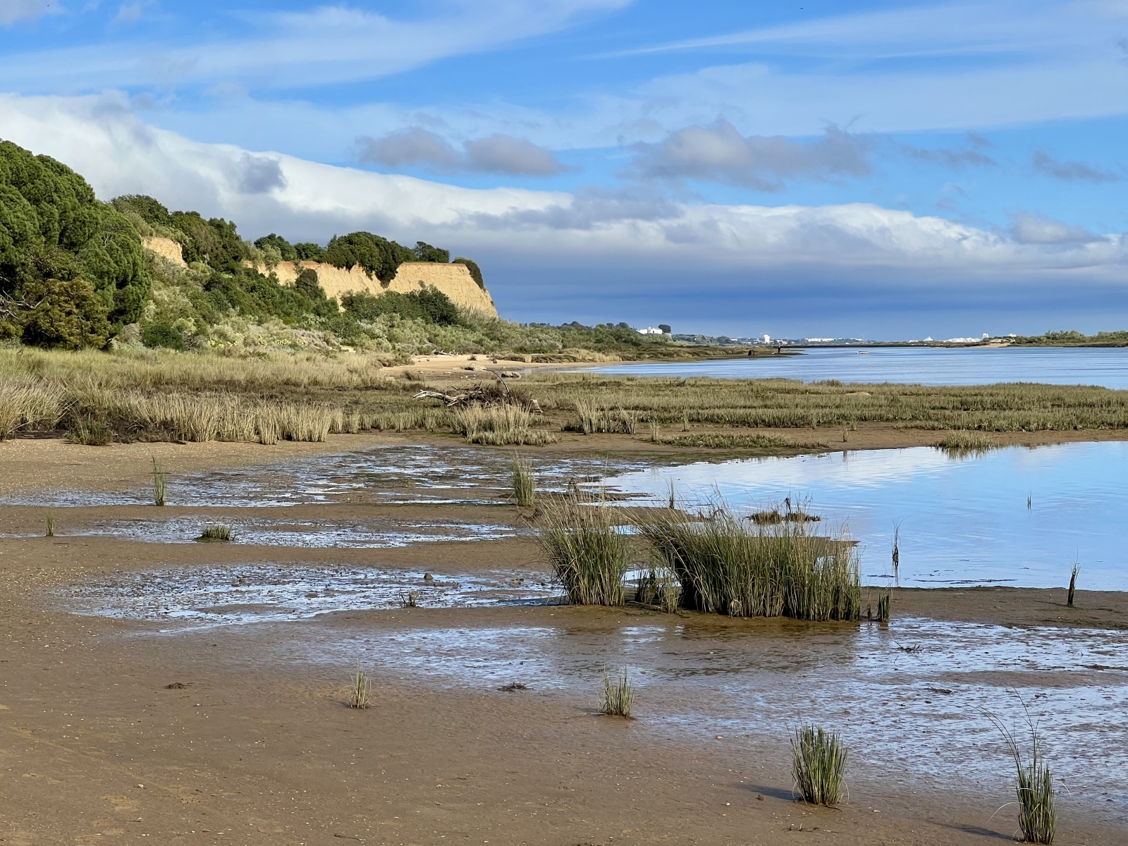 Super emplacement, vue organique, piscine privée chauffée en eau salée, rez-de-chaussée