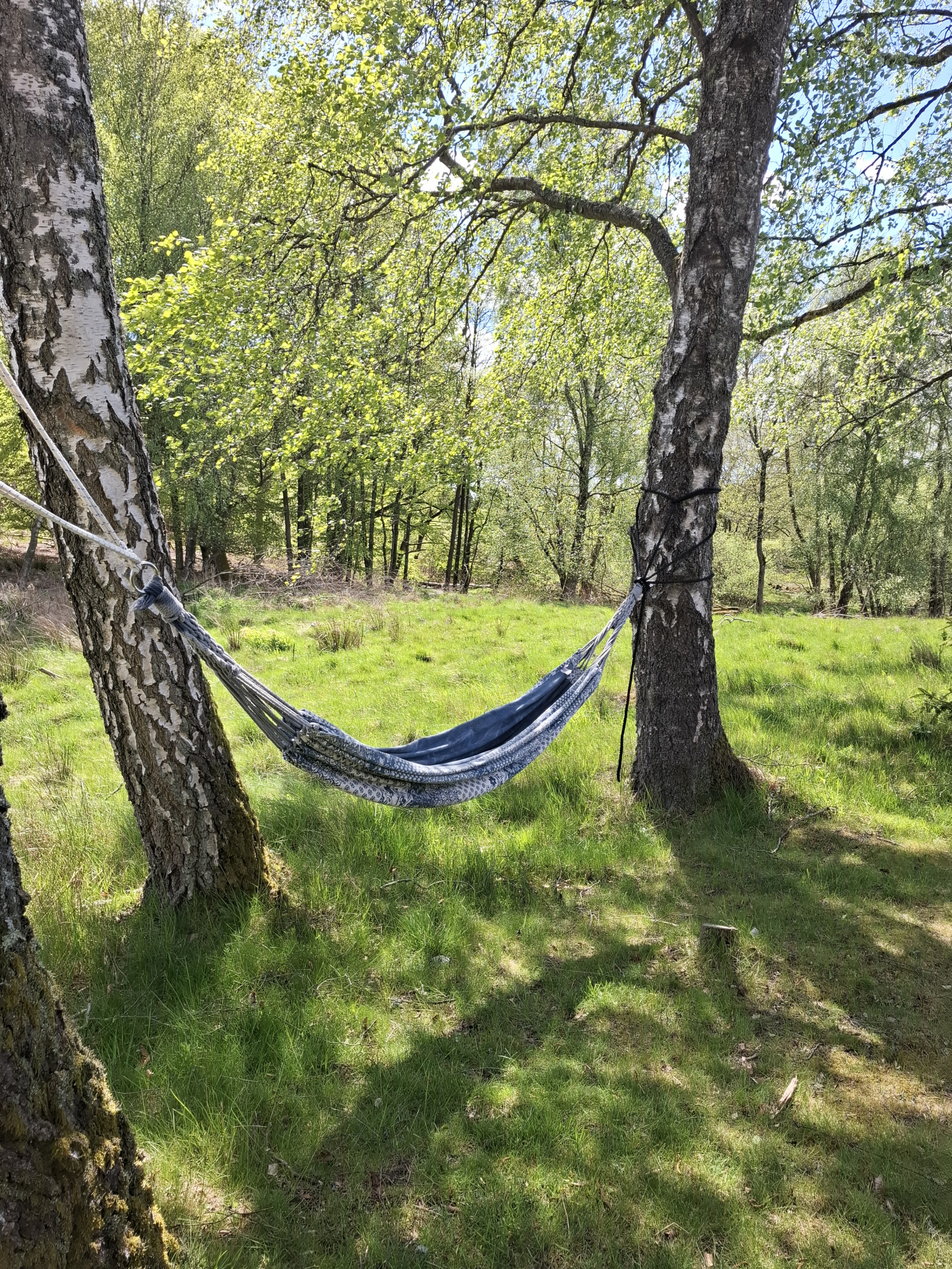 Karakteristiek huis in het Zweedse bos