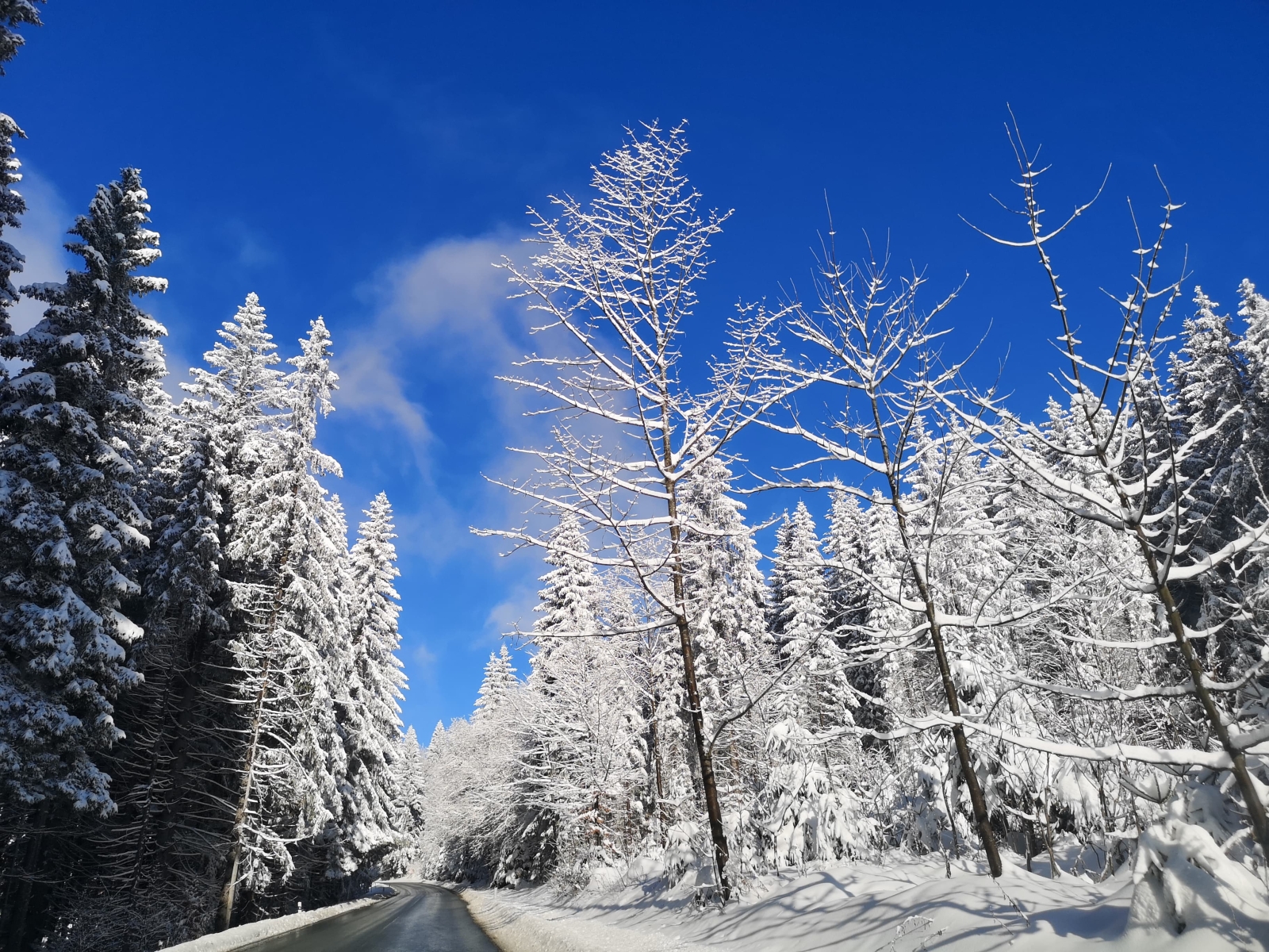 Accommodatie in het Nationaal Park Šumava