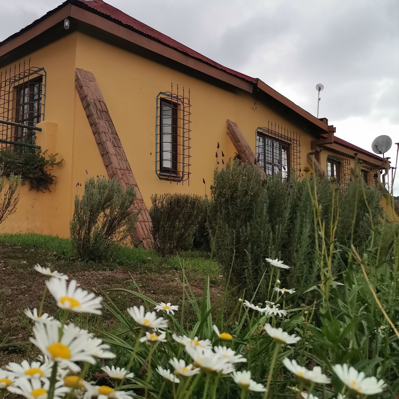 Pequena quinta com muito para explorar