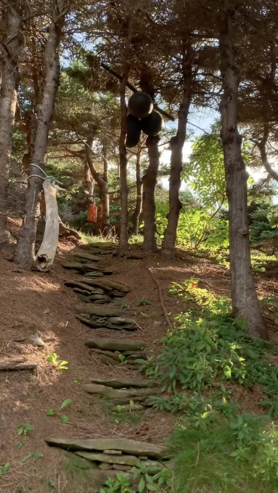 Rock steps to brook opening for our beach access