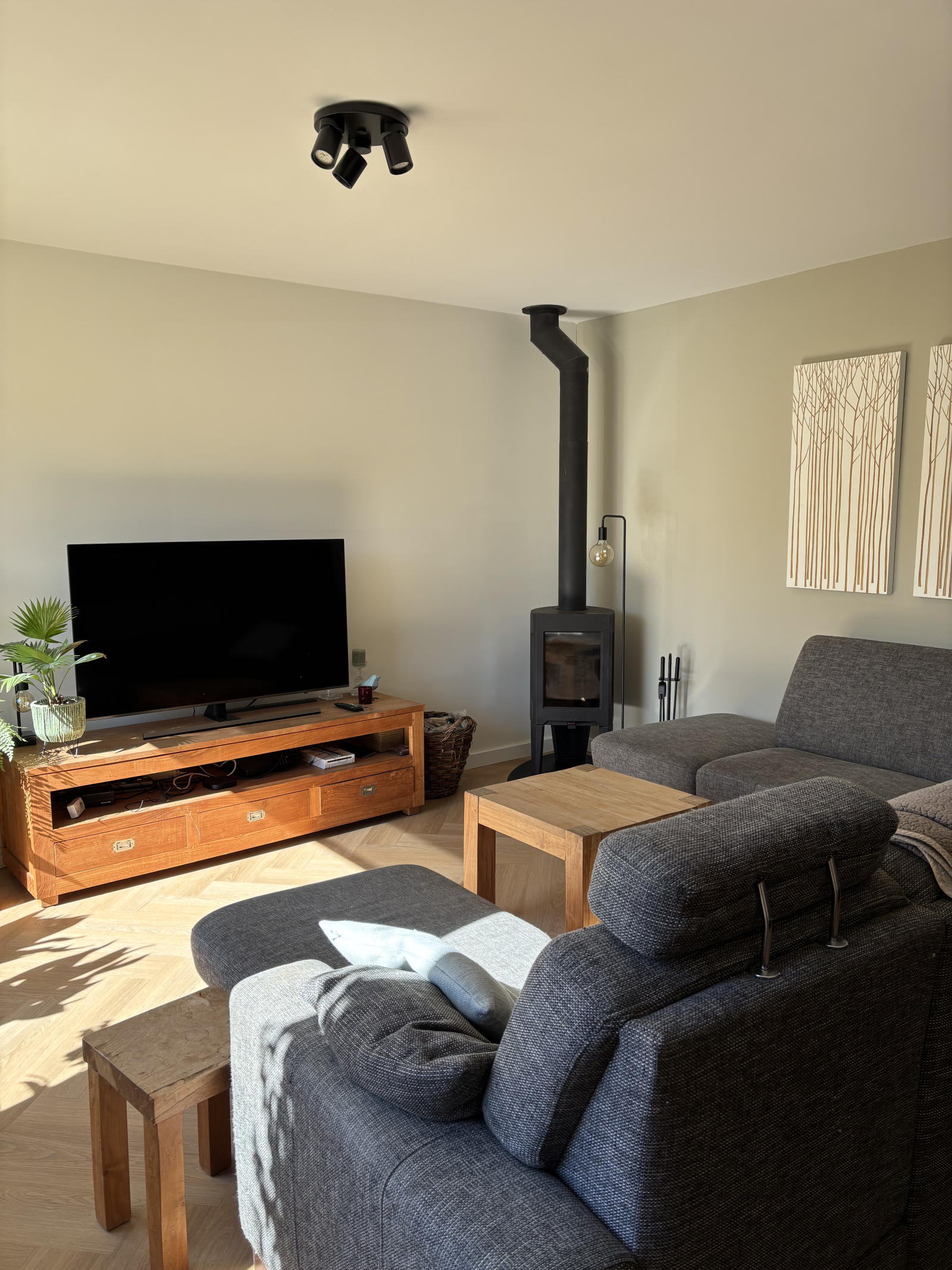 Living room with attractive wood stove
