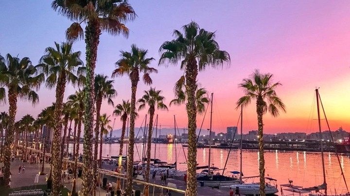 Muelle Uno harbour