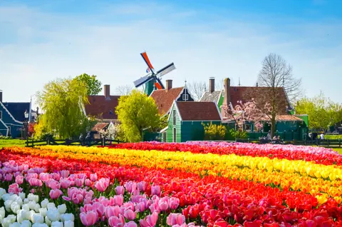 Apartamento brilhante na região de Amsterdã