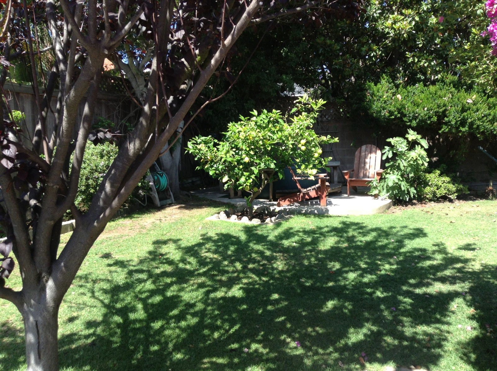 Nuestra casa en Los Ángeles - Vista al patio trasero