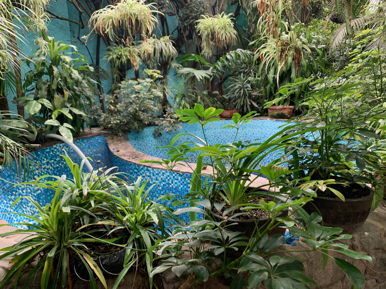 Garden Casita with artistic flare- Hideaway in Central Panajachel for dog lovers