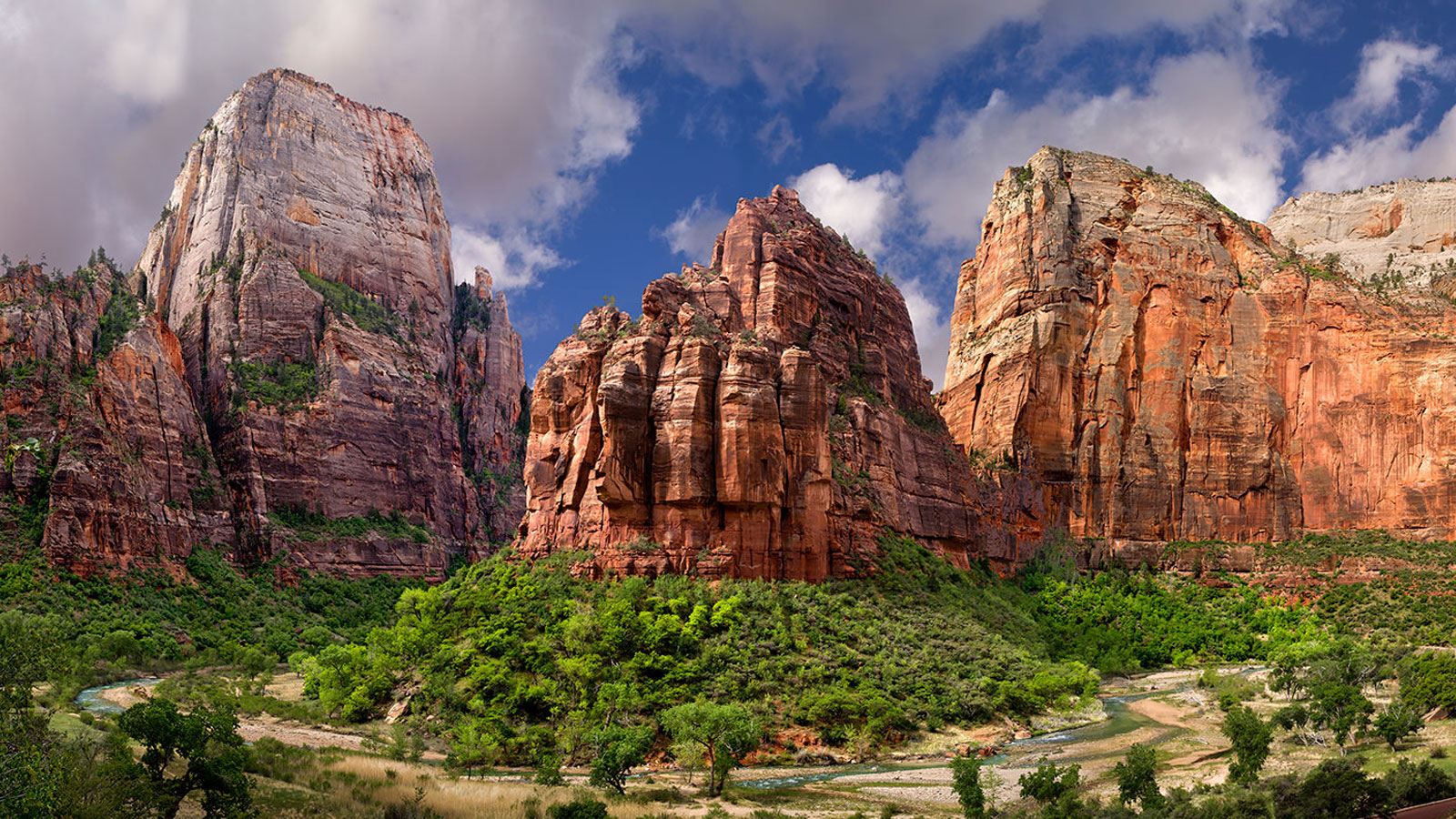 If you're done with the neon lights of The Strip and need a dose of nature, Zion National Park just ...