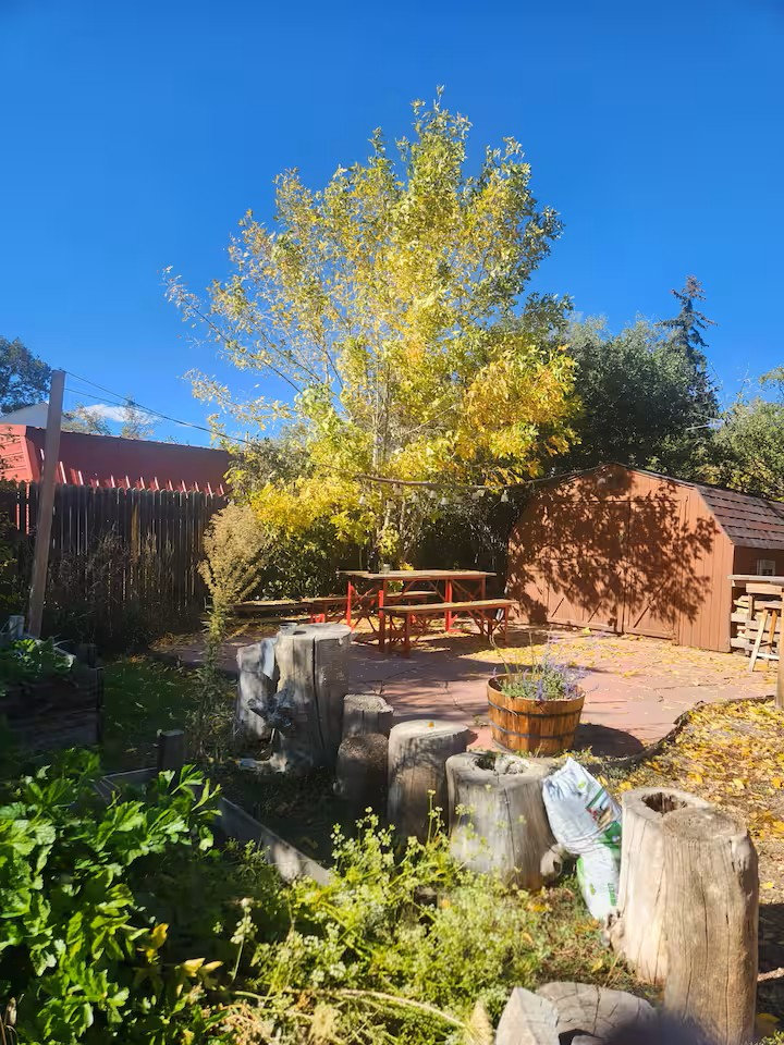 Arvada Olde town cabin feel home with hot tub and sauna.