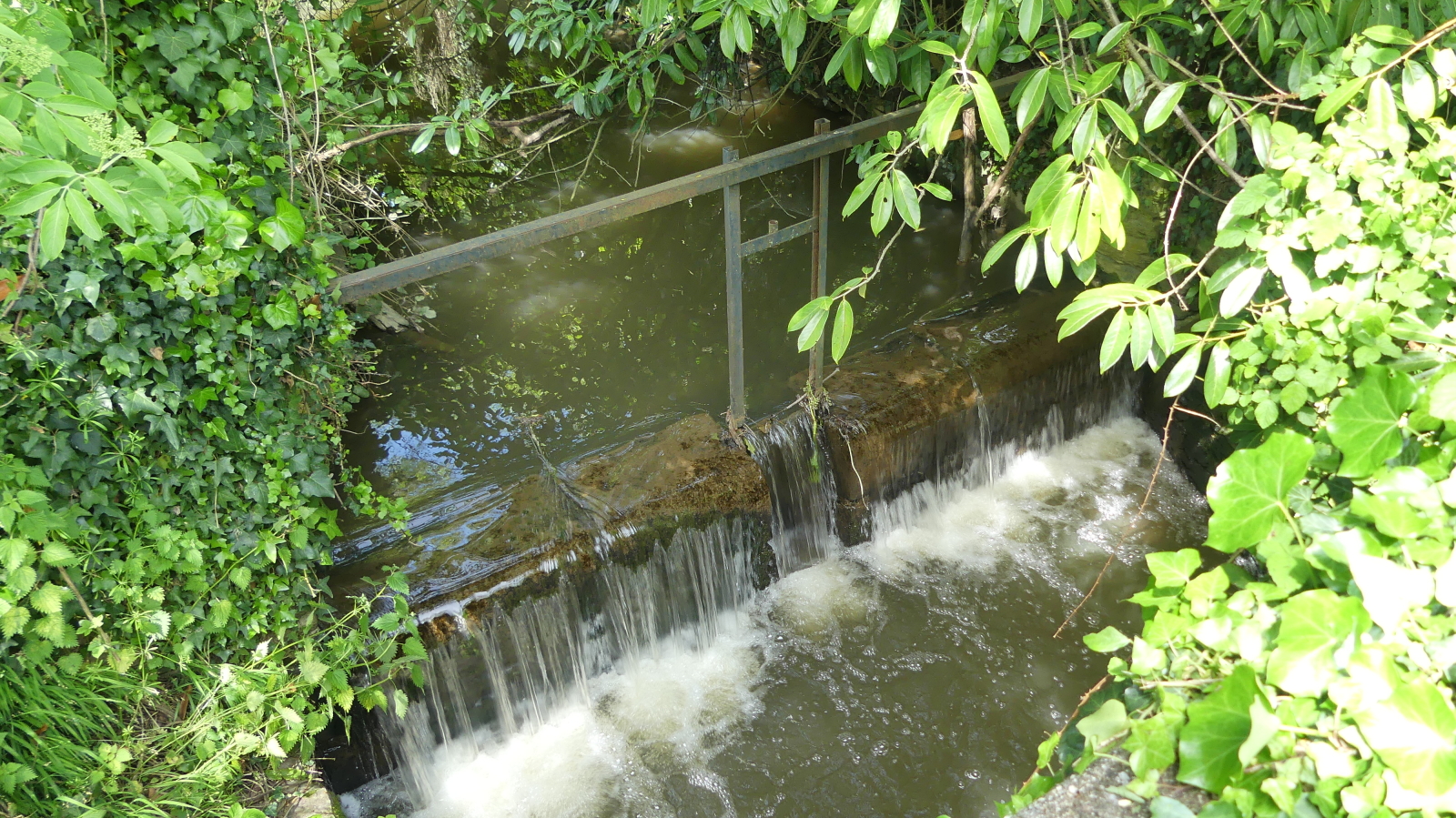 North of Rennes, comfortable house with beautiful garden and fountain.