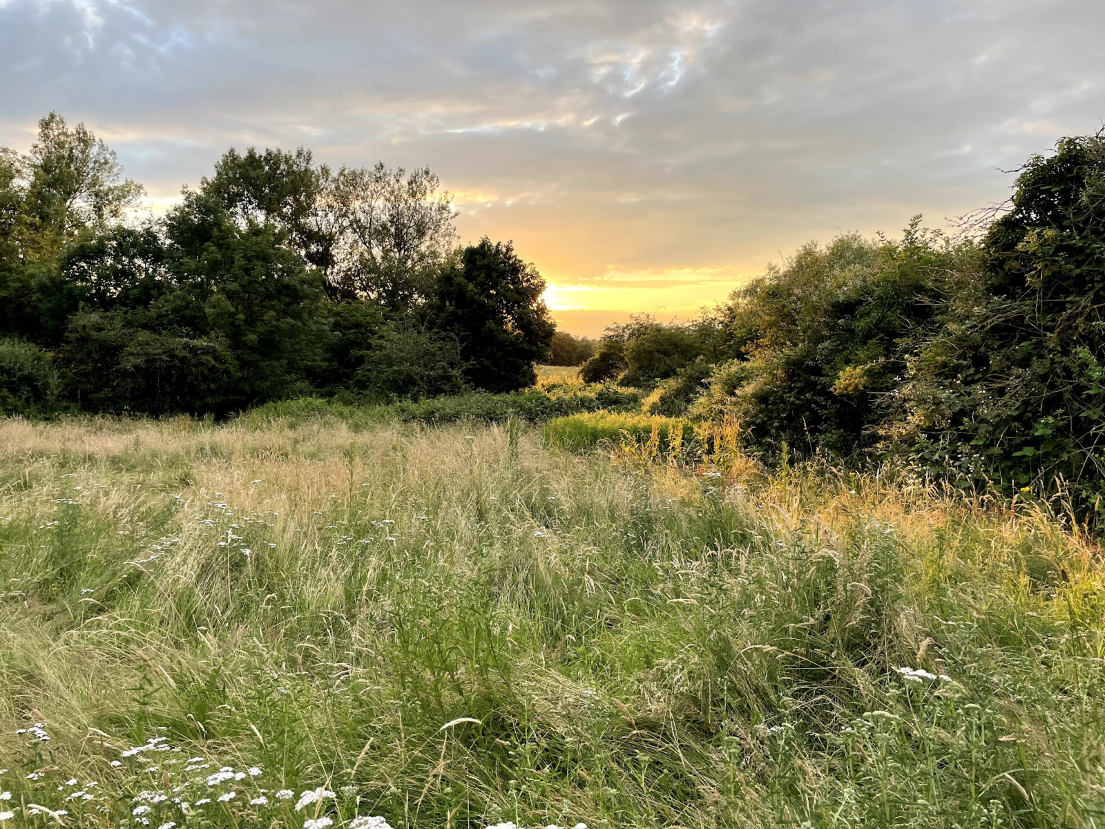 Village area has a very peaceful feeling for central Oxford with ancient meadows and historic buildi ...