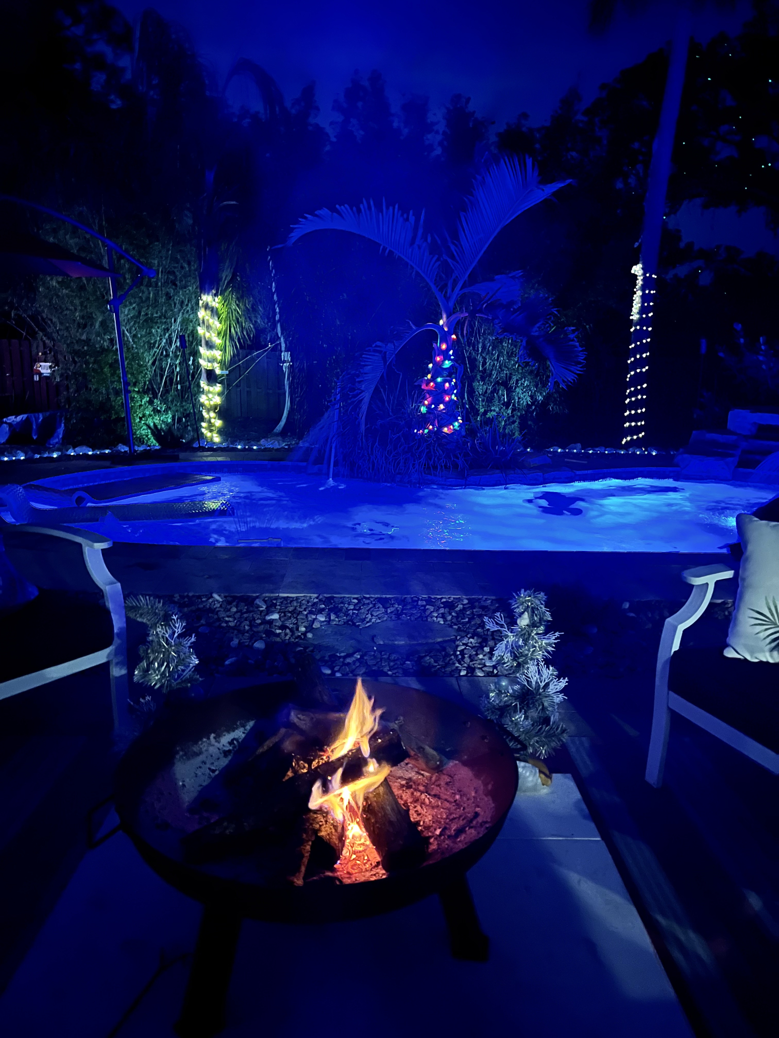 Christmas time is special in the oasis