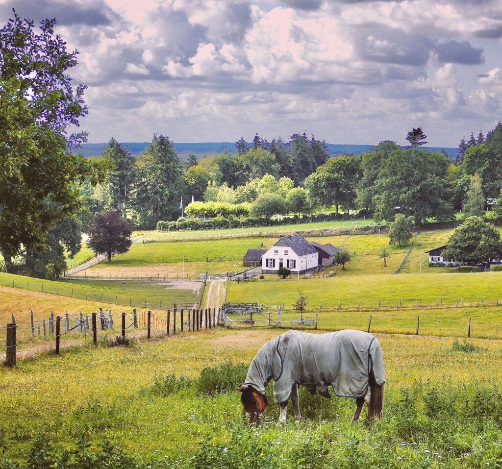 Muchos de este tipo de paisajes en la zona