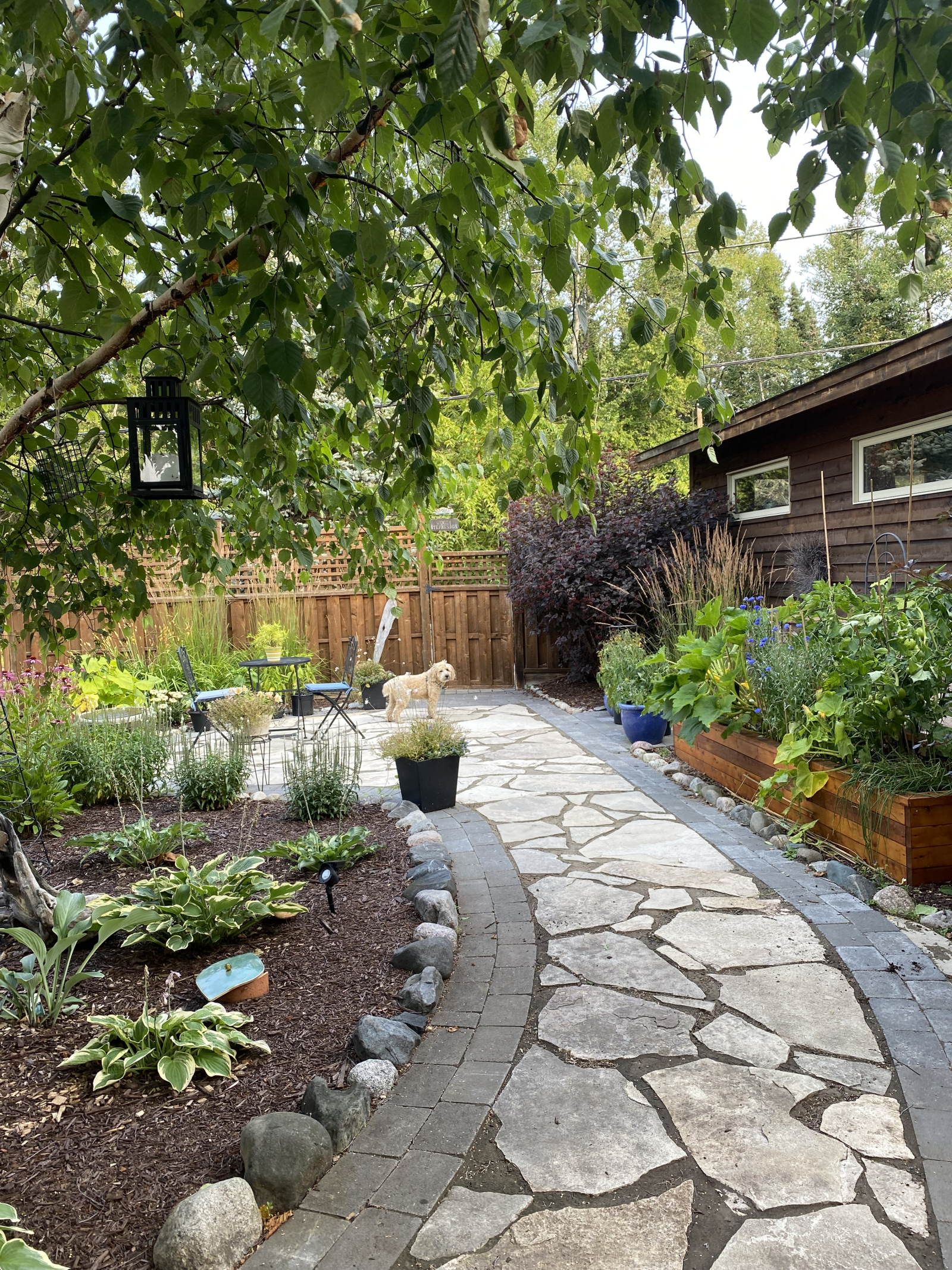 Entry courtyard looking towards the street