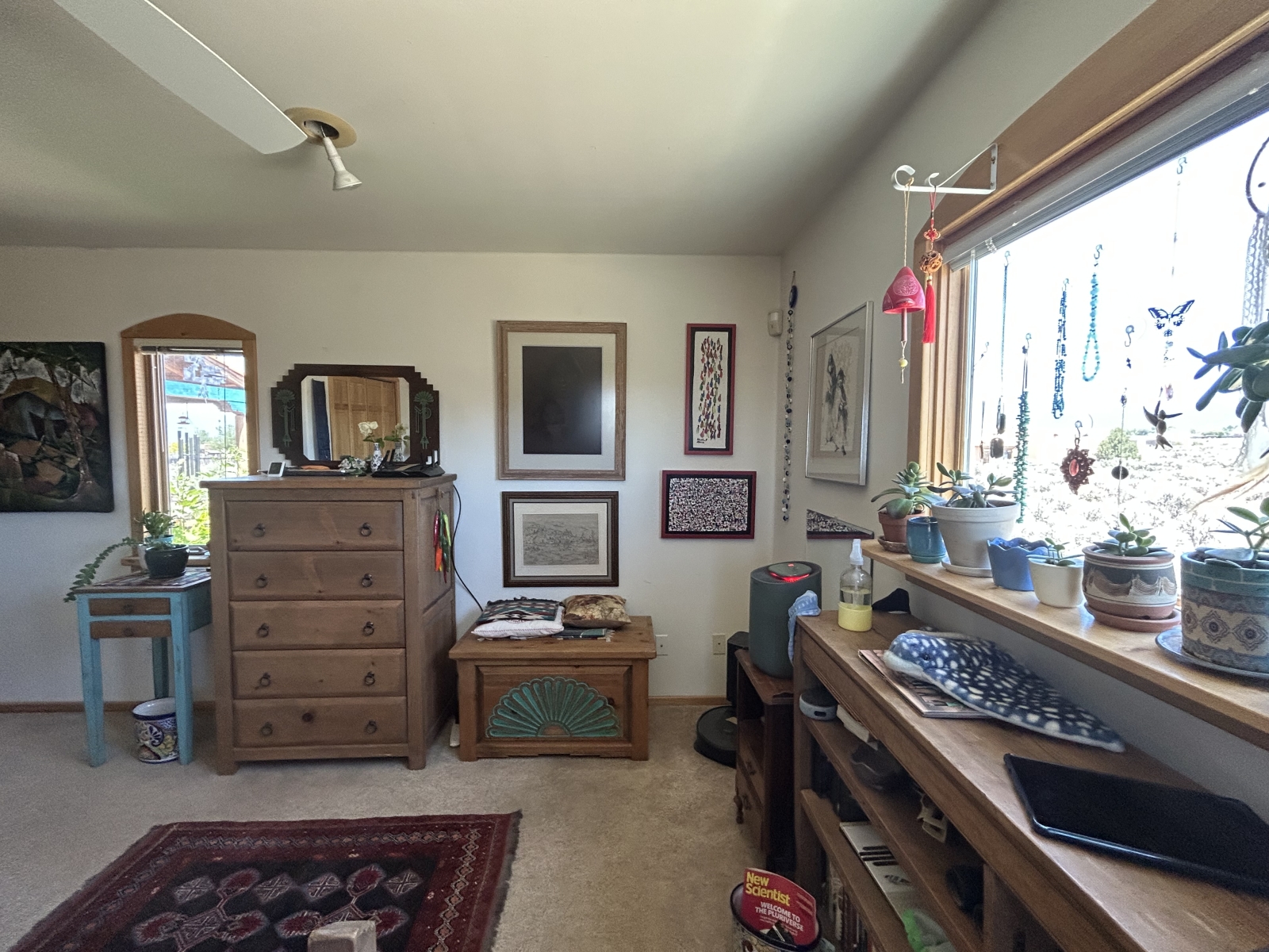 Taos !   Disponibilité automne et hiver dans les Montagnes Rocheuses fraîches.   Globe ou non-simultané, ou Pluton !