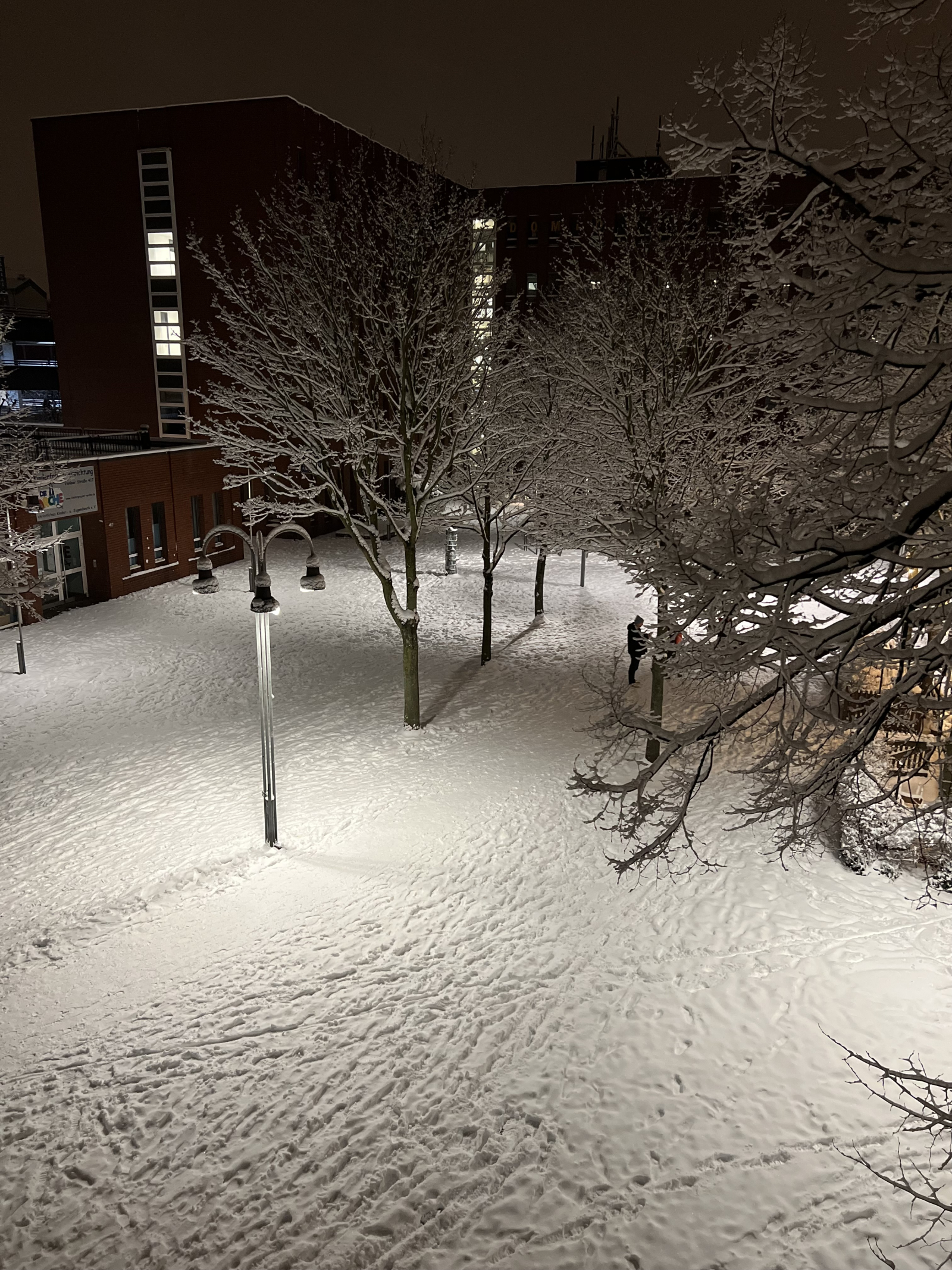 Vue hivernale depuis le salon