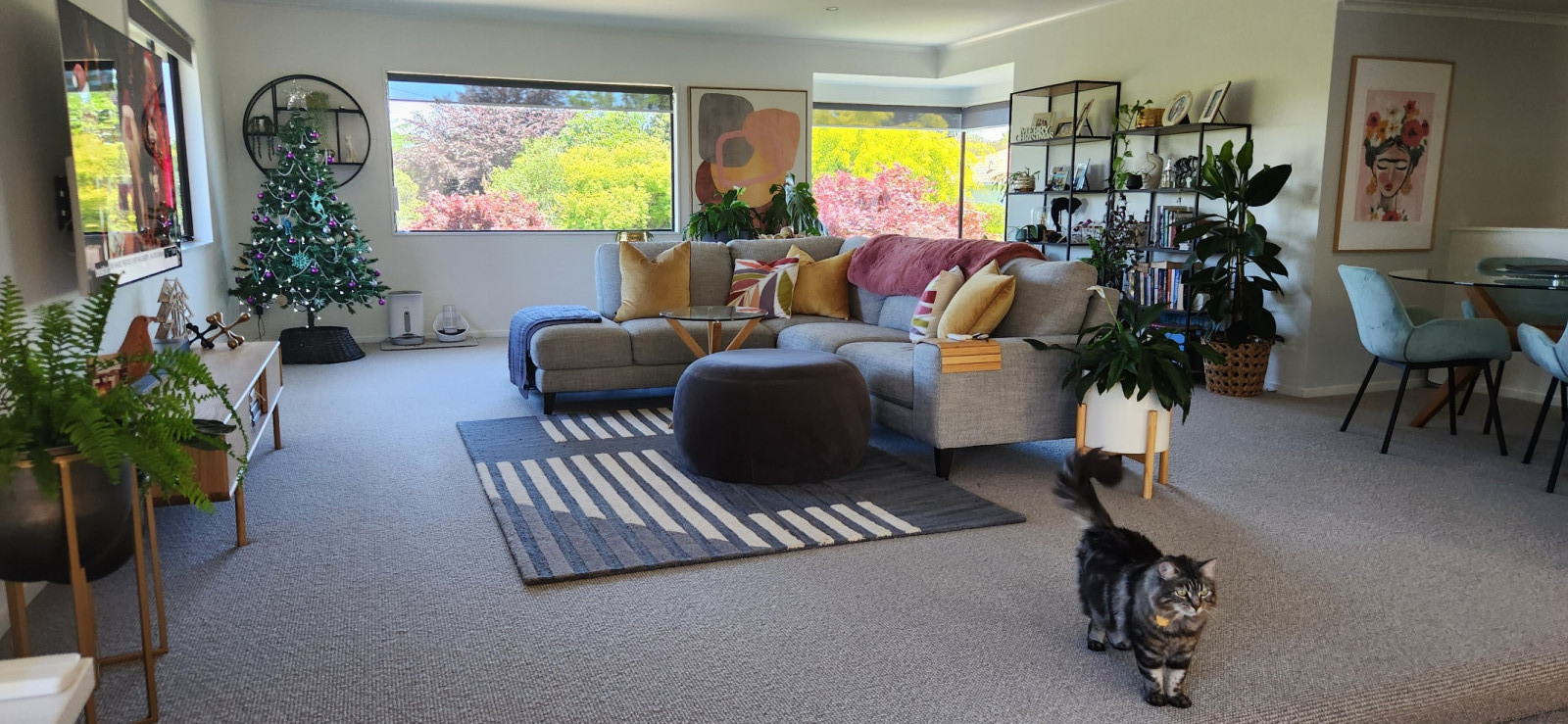 A peaceful sanctuary surrounded by nature in central north island