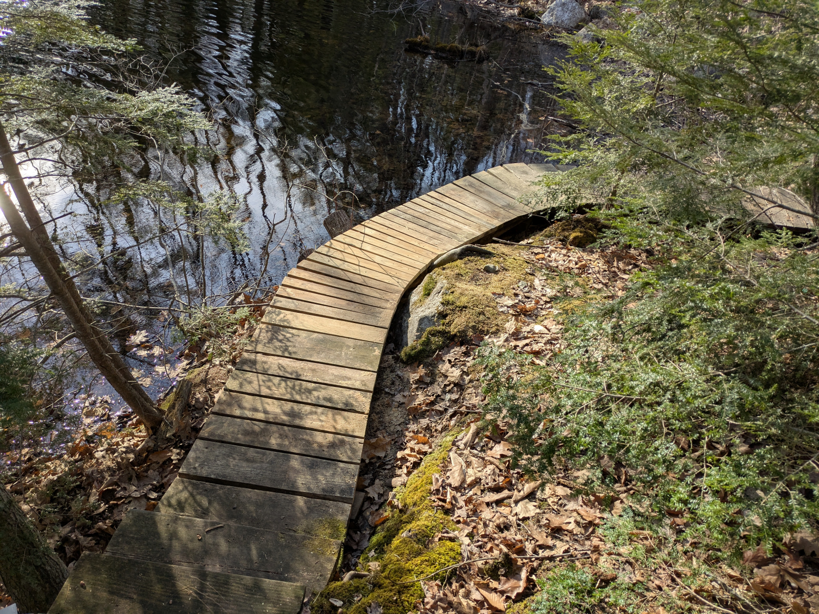 Parte della passerella privata costeggia la battigia.