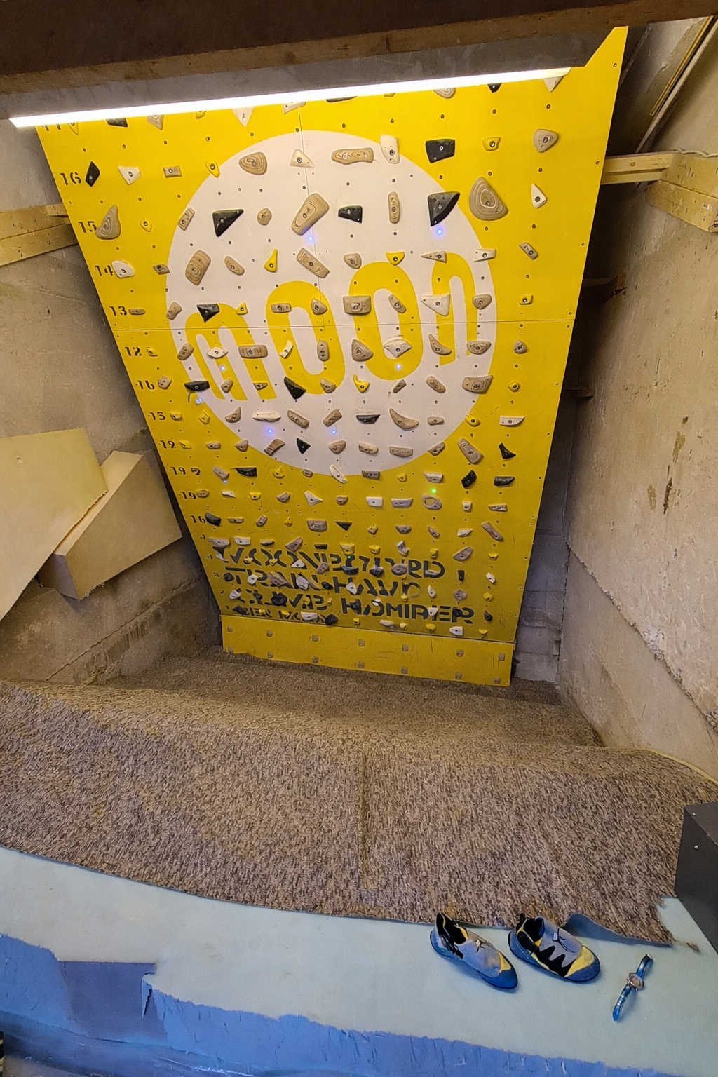 We have a moon board for bouldering in the garage (which now has no space for a car, but there is a ...