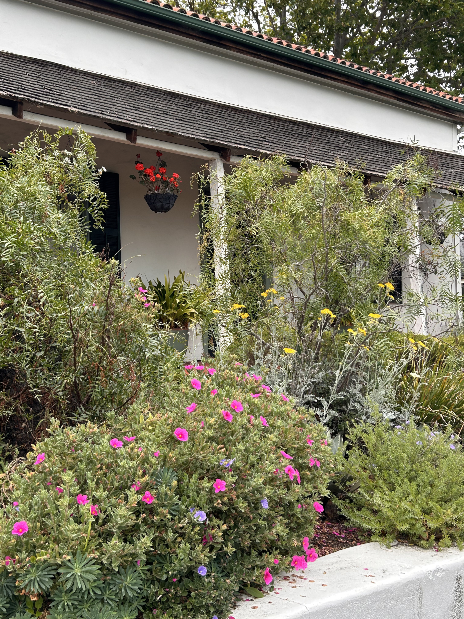 Adobe de jardim no coração de Monterey