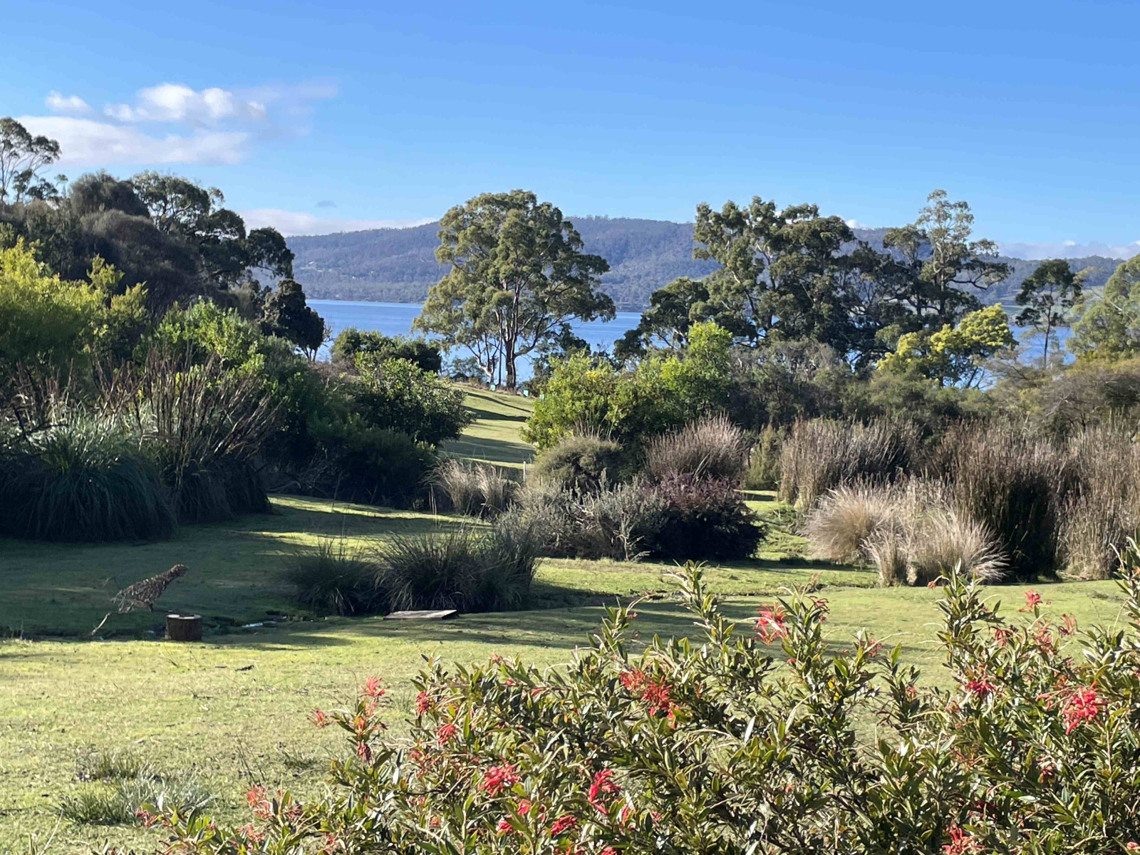 Vue depuis le pont avant