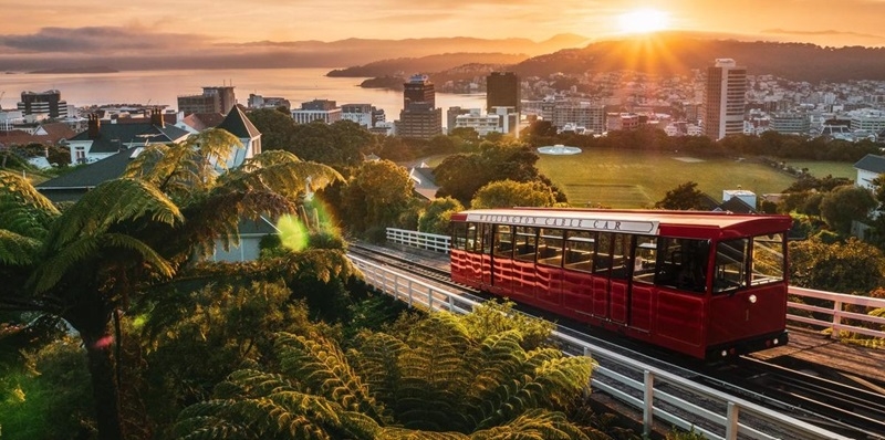 Maak een ritje met de Wellington kabelbaan naar de Botanic Gardens and Space Museum.