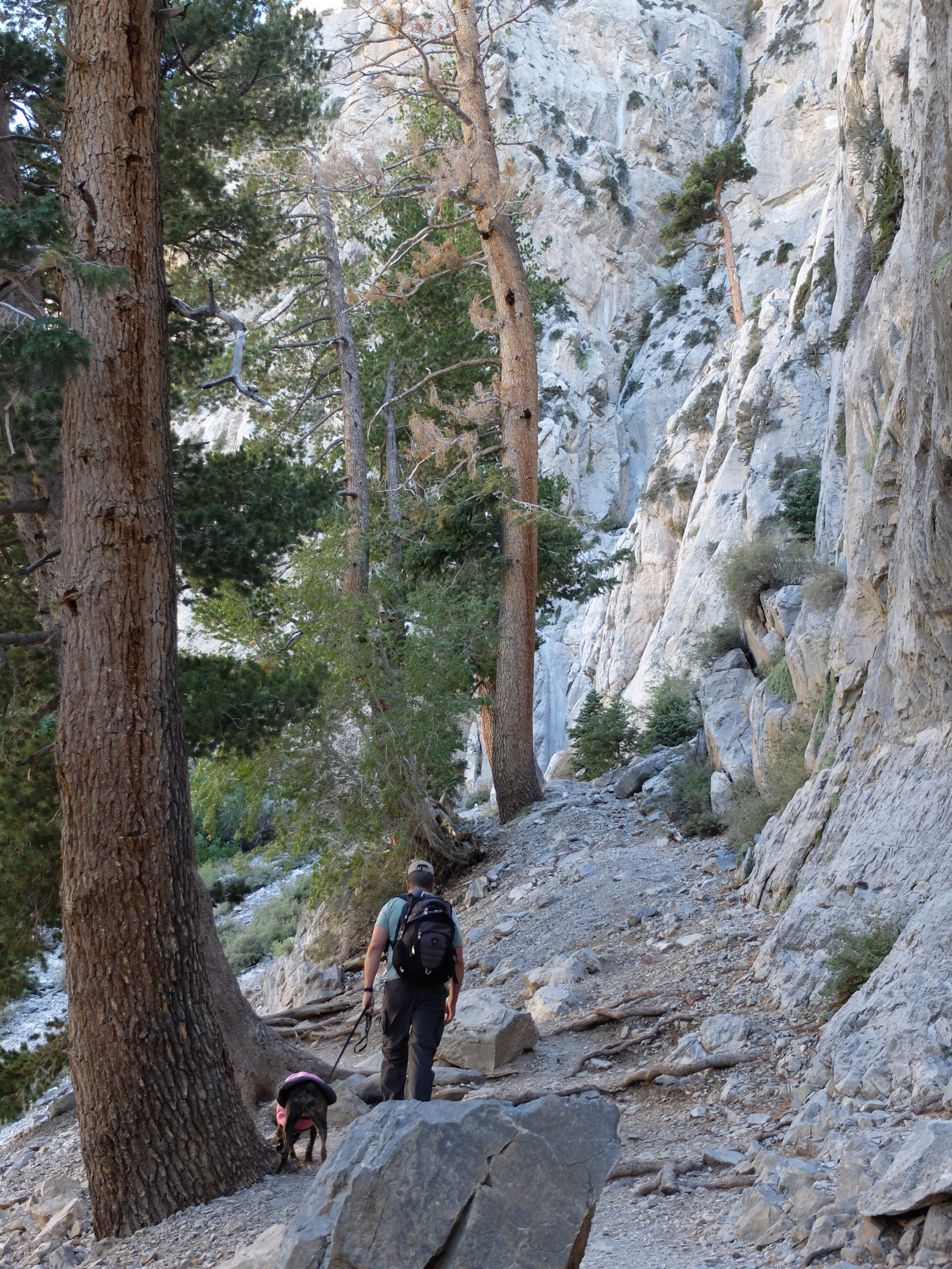 Darryl e Brandy si avvicinano alle cascate Mary Jane.  Queste escursioni non sono lontane da casa no ...