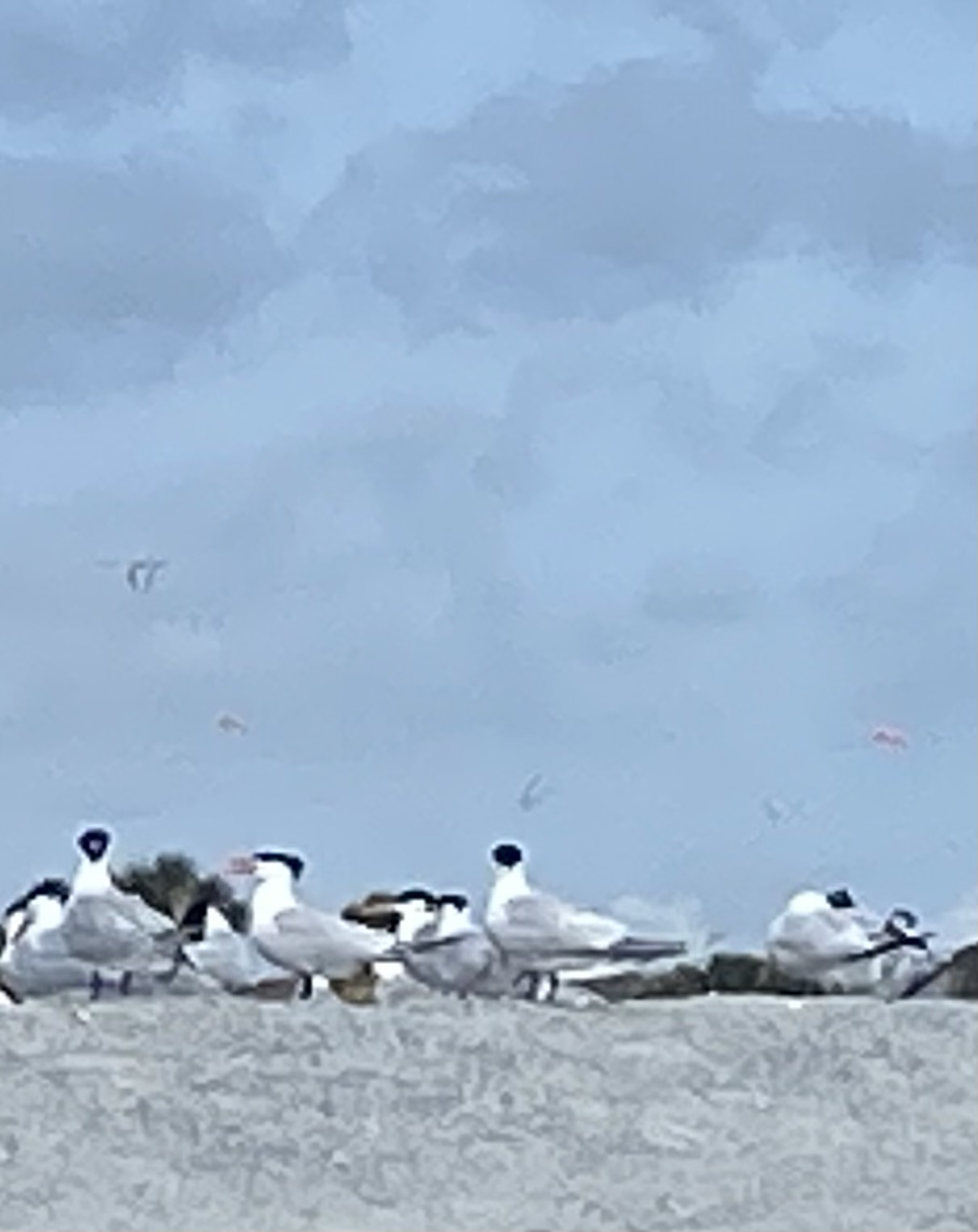 Parc d’État d’Anastasia. Beau réveil et balade à vélo à marée basse