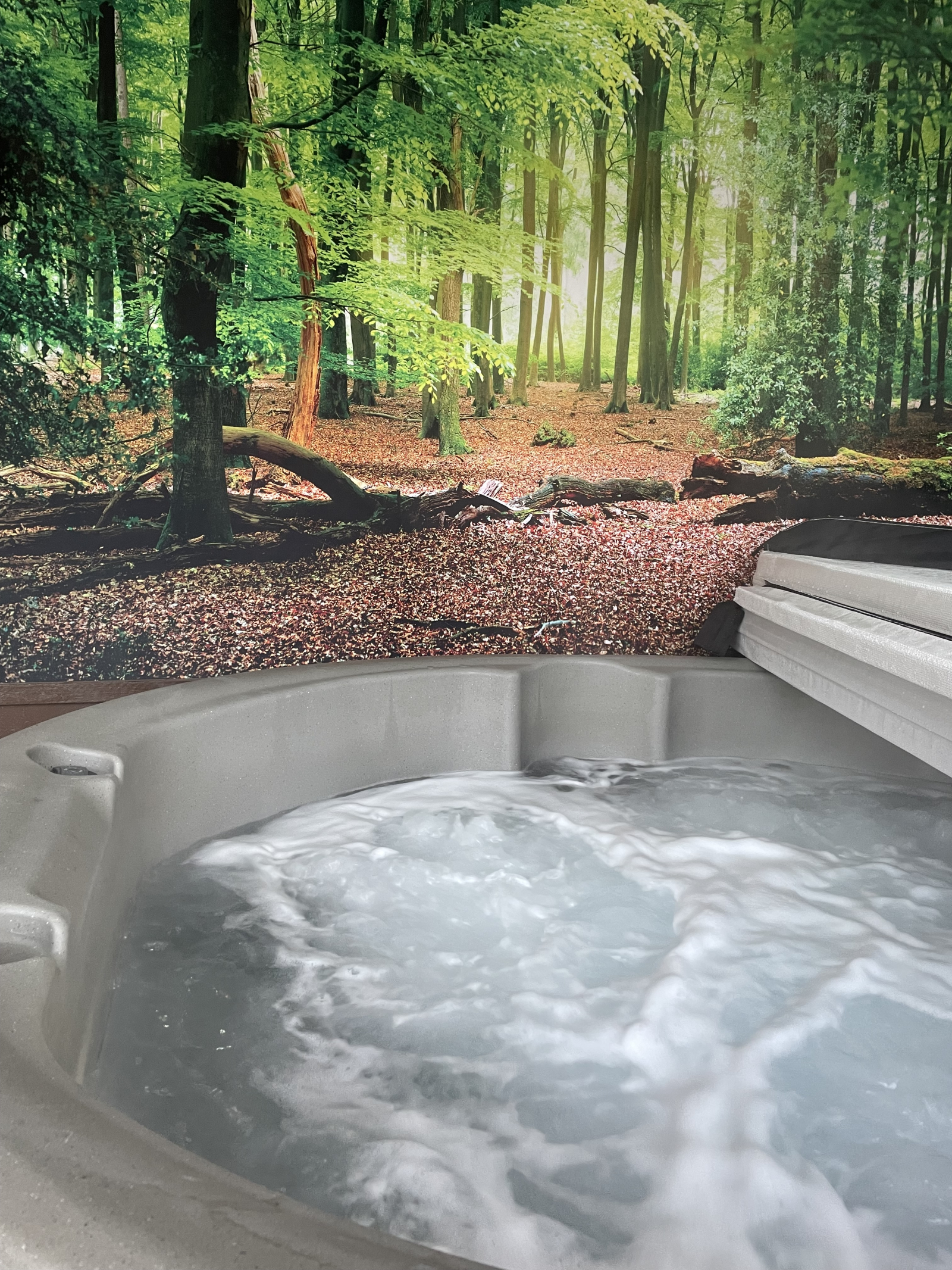Spring na een wandeling in de hottub. Of stap 's ochtends als eerste in. Echt elk moment is een gewe ...