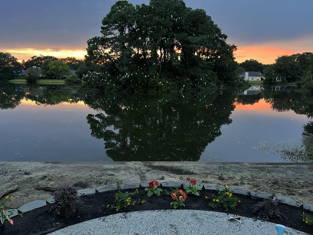 Renovated Charleston Home with Beautiful Water Views, Close to Historic Downtown & Beaches