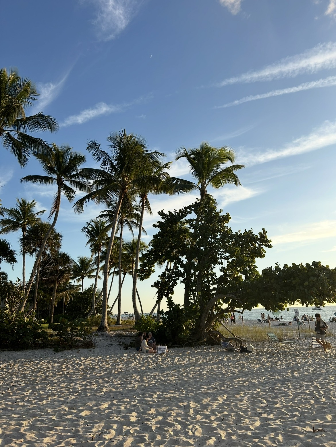 Una casa acogedora y espaciosa en el suroeste de Florida con gimnasio, piscina comunitaria y muchos senderos para caminar. Algunas de las mejores playas de Florida están a solo 40 minutos.