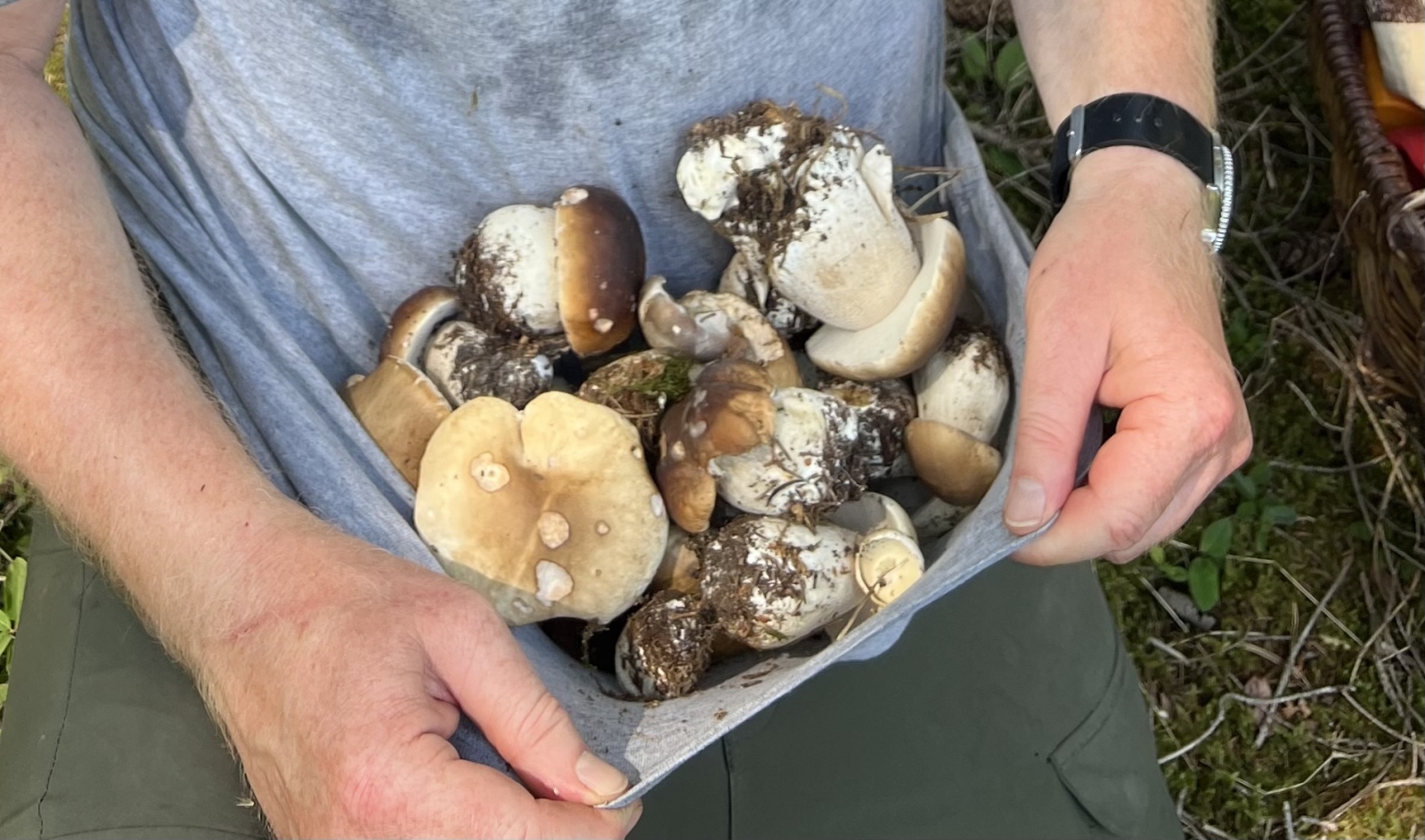 Das könnte dein Pilzfutter sein, wenn du uns im Herbst besuchst ;-)