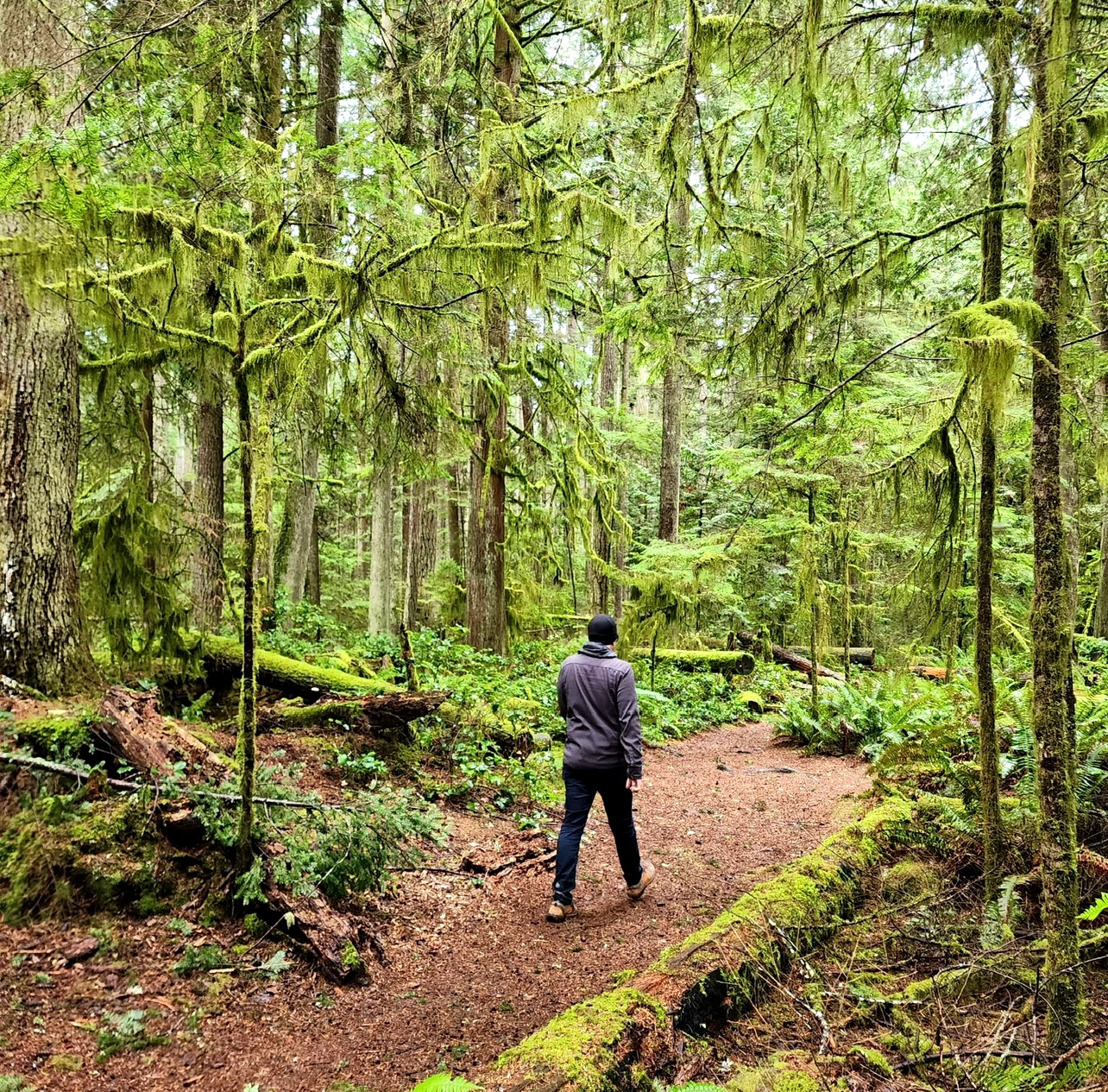 Cliff Gilker Park est l'un de nos endroits préférés à proximité pour une randonnée tranquille dans l ...