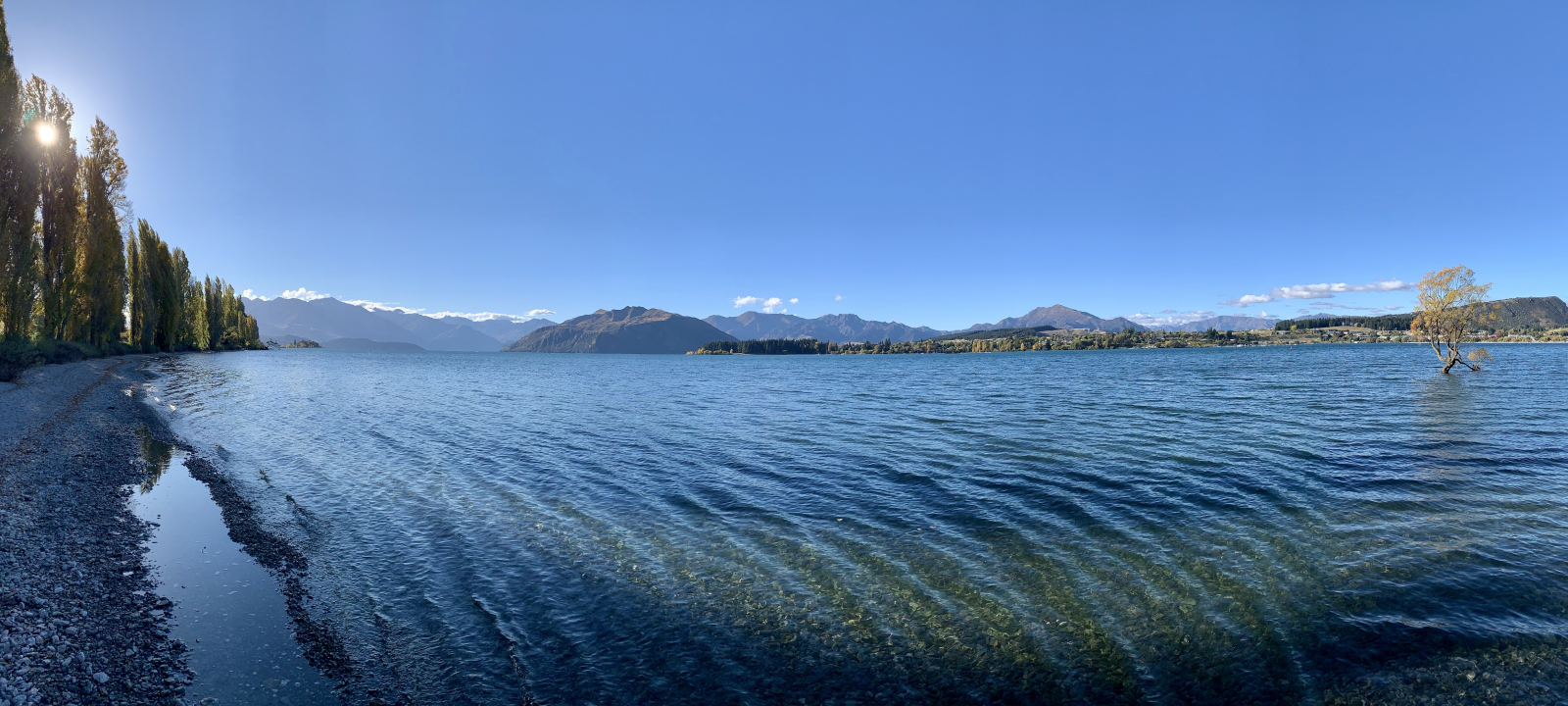 Lake Wanaka und die berühmte #thattree