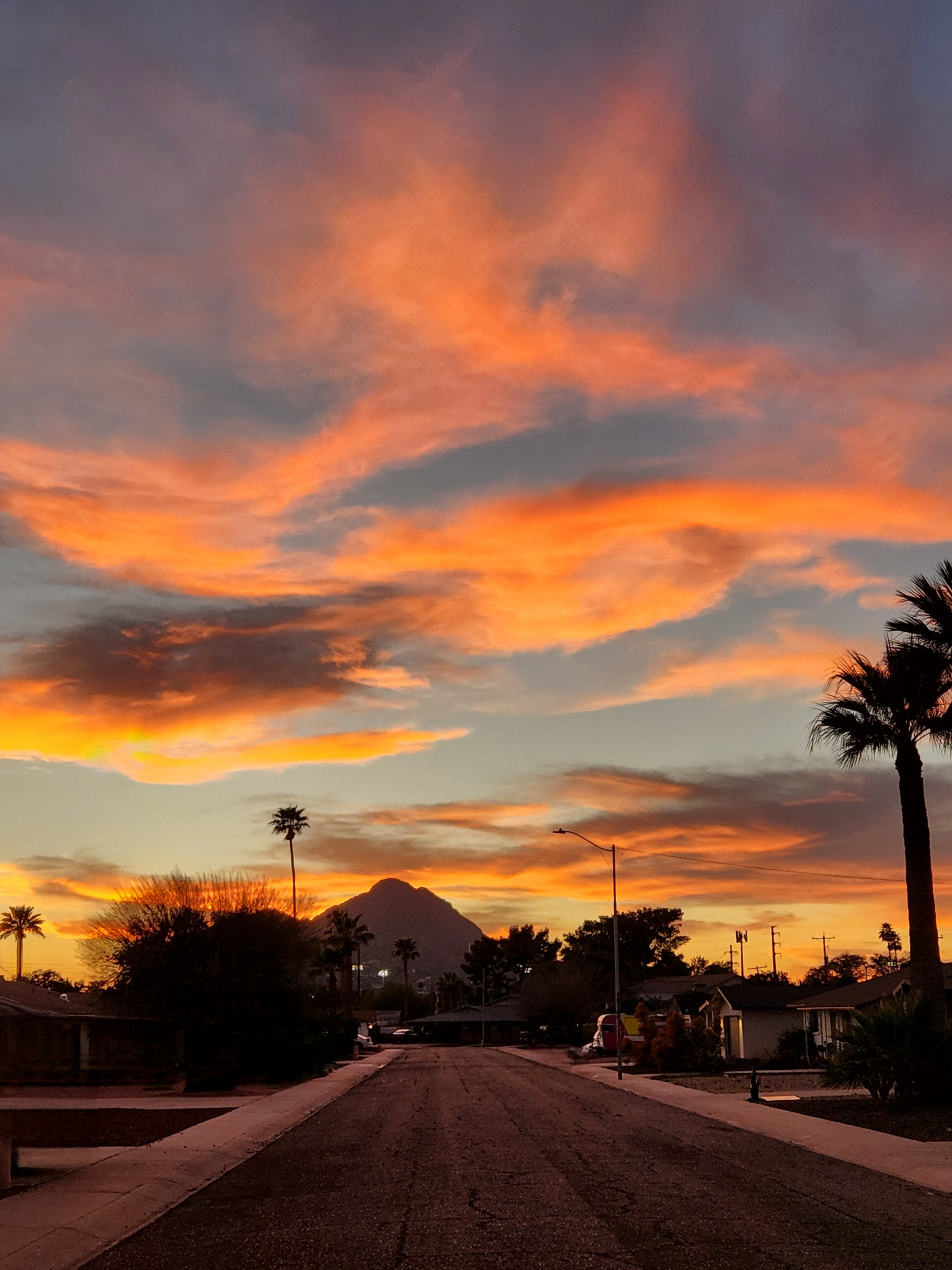 The Sunburst, on Sage - a midcentury retreat in Scottsdale