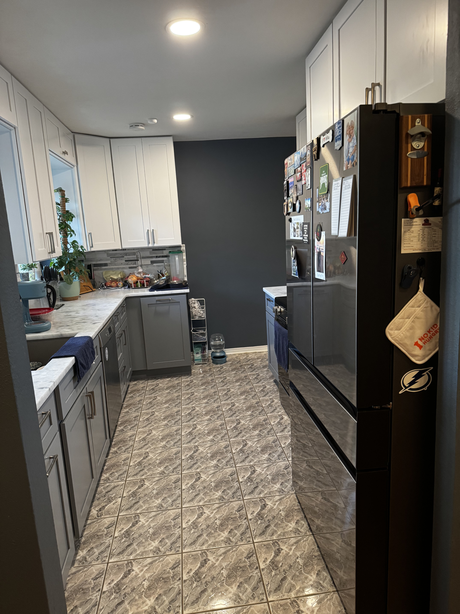 Neu renovierte Küche im Pantry-Stil