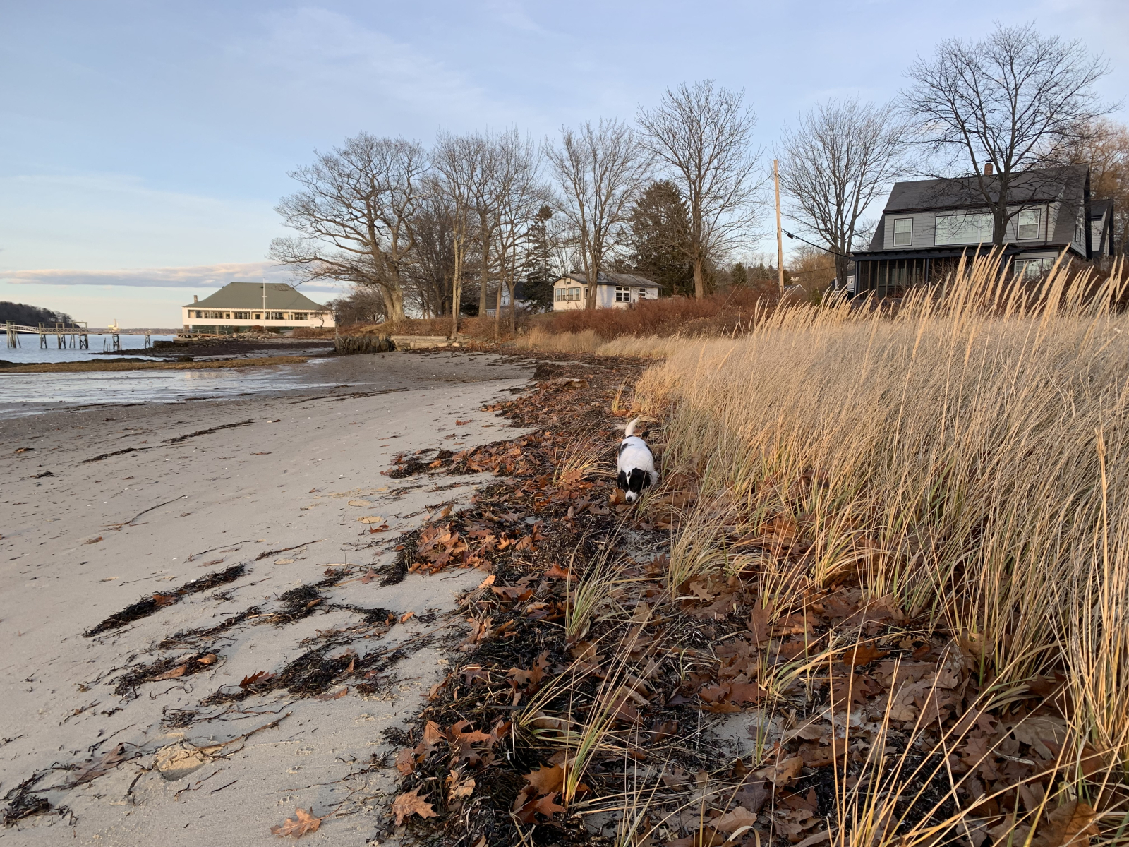 Fall, one of my favorite times of the year on Peaks.