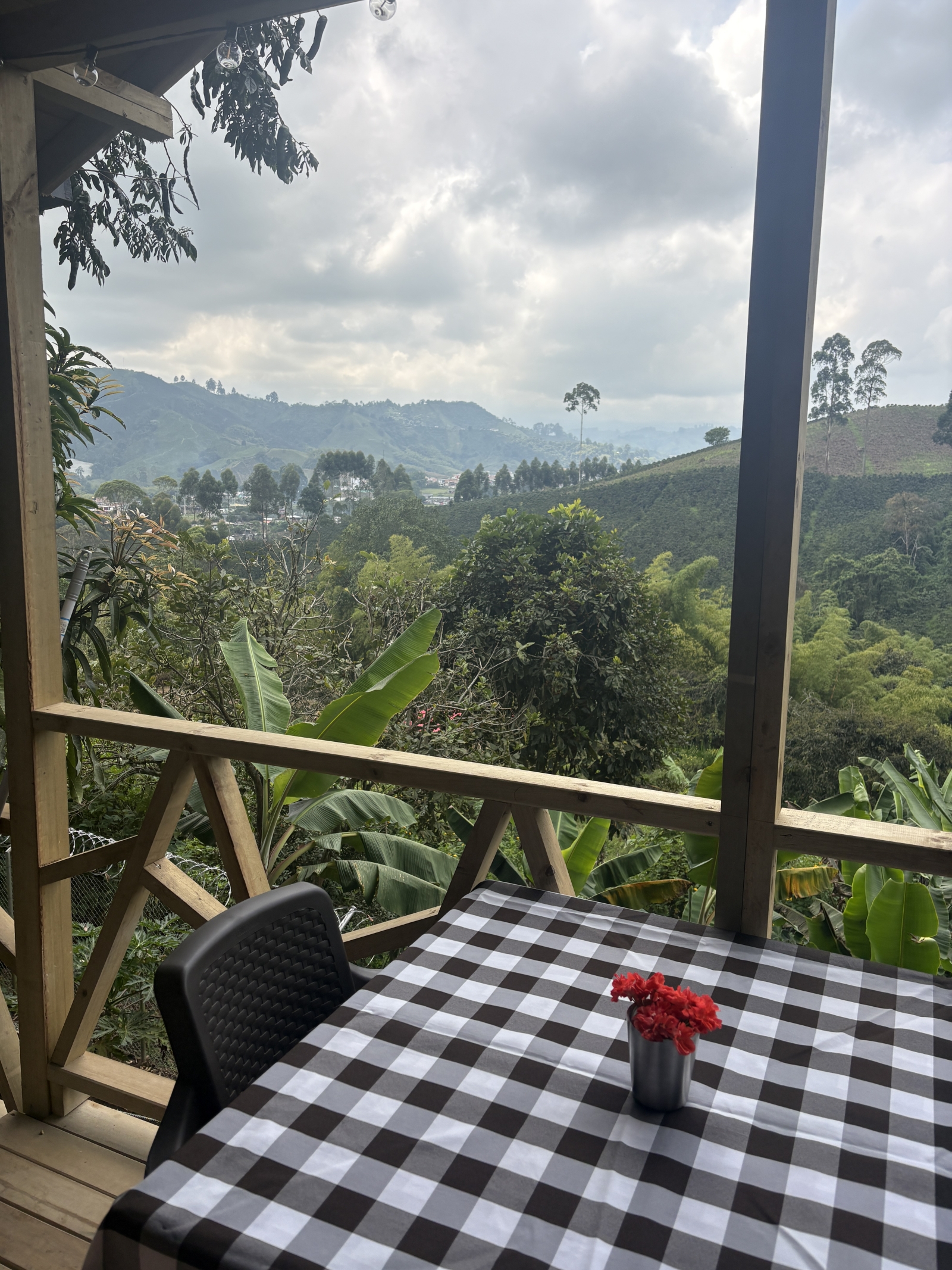 Ecolodge with 2 cabins surrounded by coffee farms!