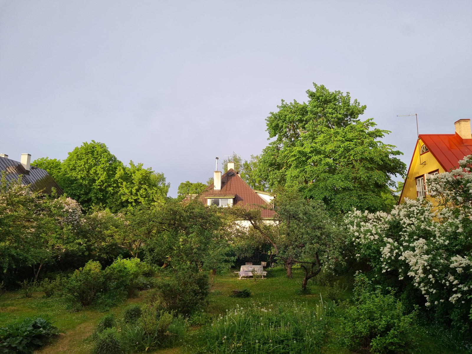 Gemütliche und ruhige Wohnung mit grünem Garten im Zentrum von Tallinn