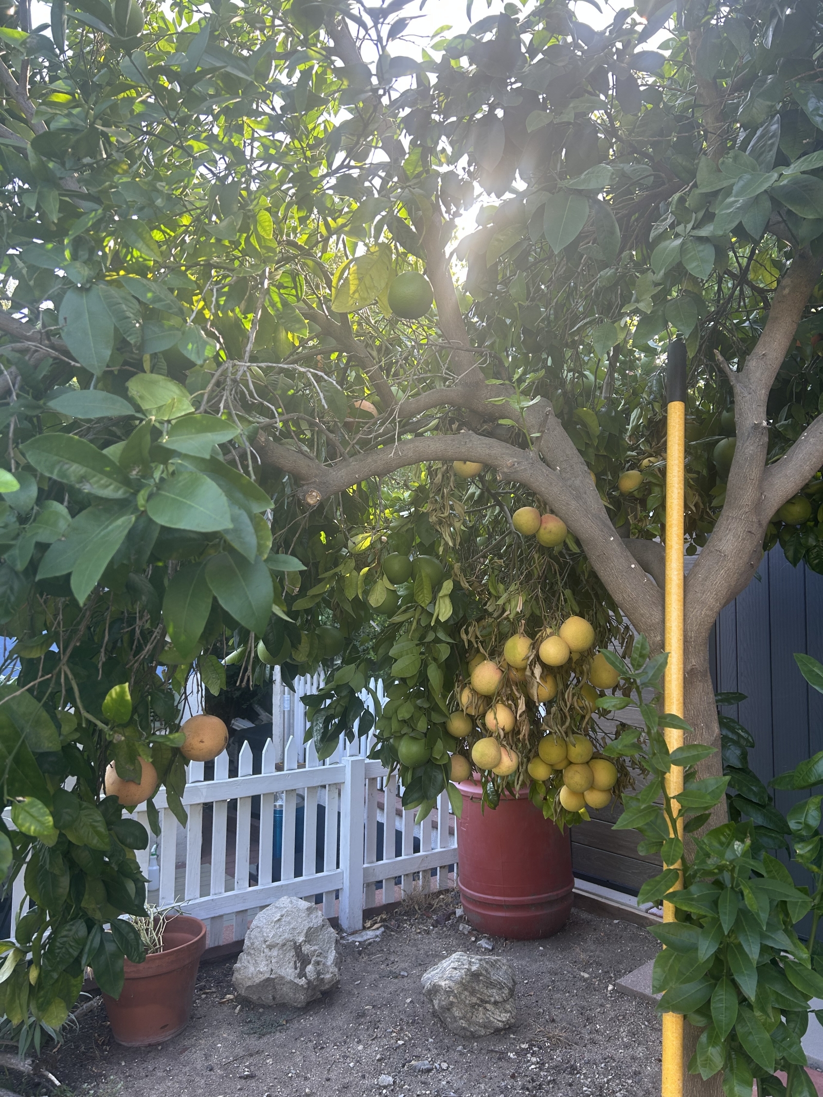 Ein perfektes LA Cottage mit privatem Außenbereich und superschnellem Internet