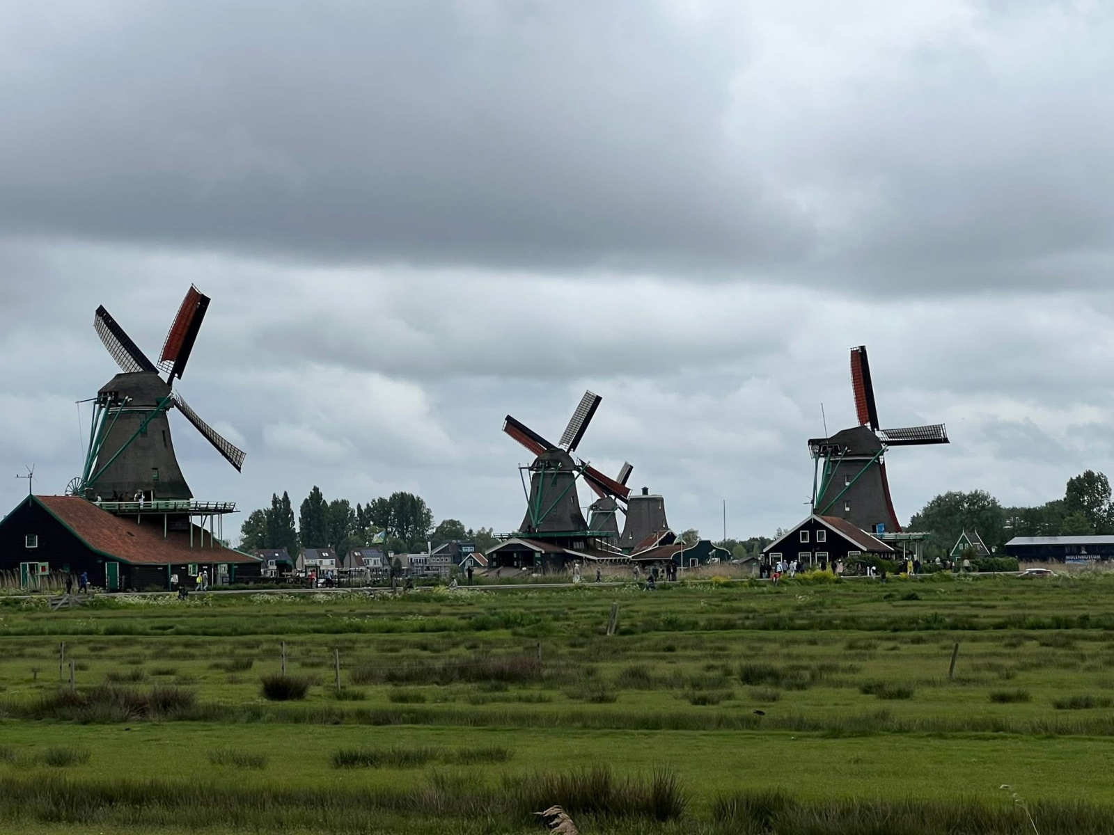 Windmills at Zaanse Schans (10 mins from home)