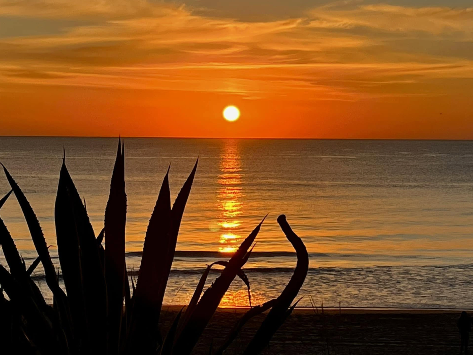 Awesome sunsets
