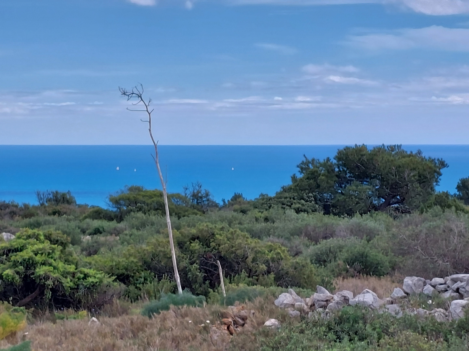 Wandeling in de Clape