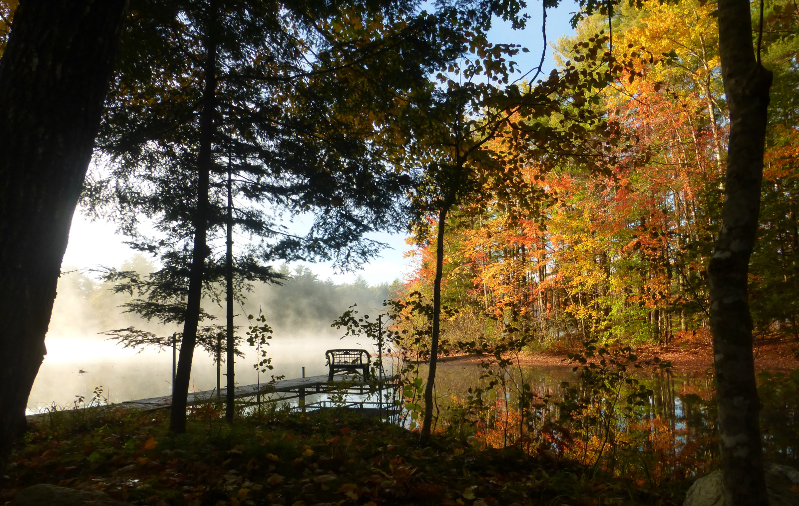 Il molo in una mattina d'autunno