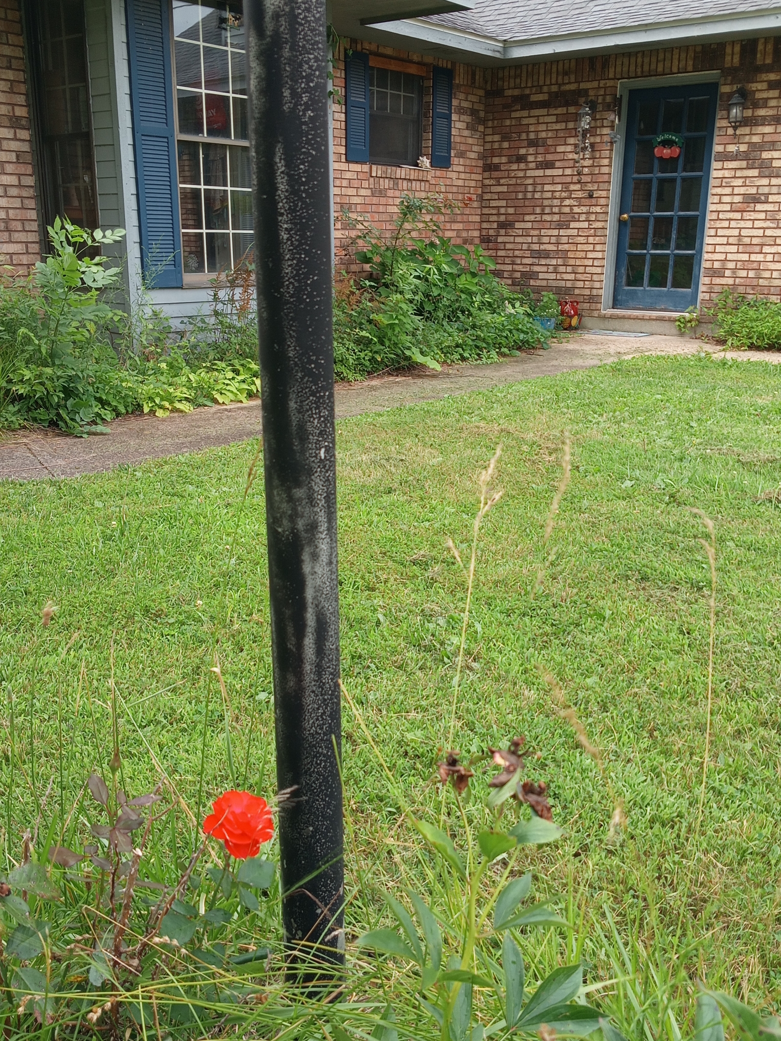 Rustig en vredig huis op het platteland van de Ozarks.