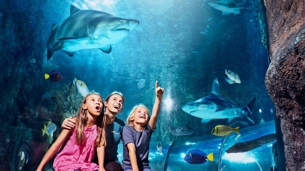 Kattegat Centret (Aquarium de Grenå)