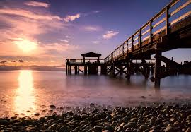 Swim, whale watch and enjoy the sea walk in Davis Bay