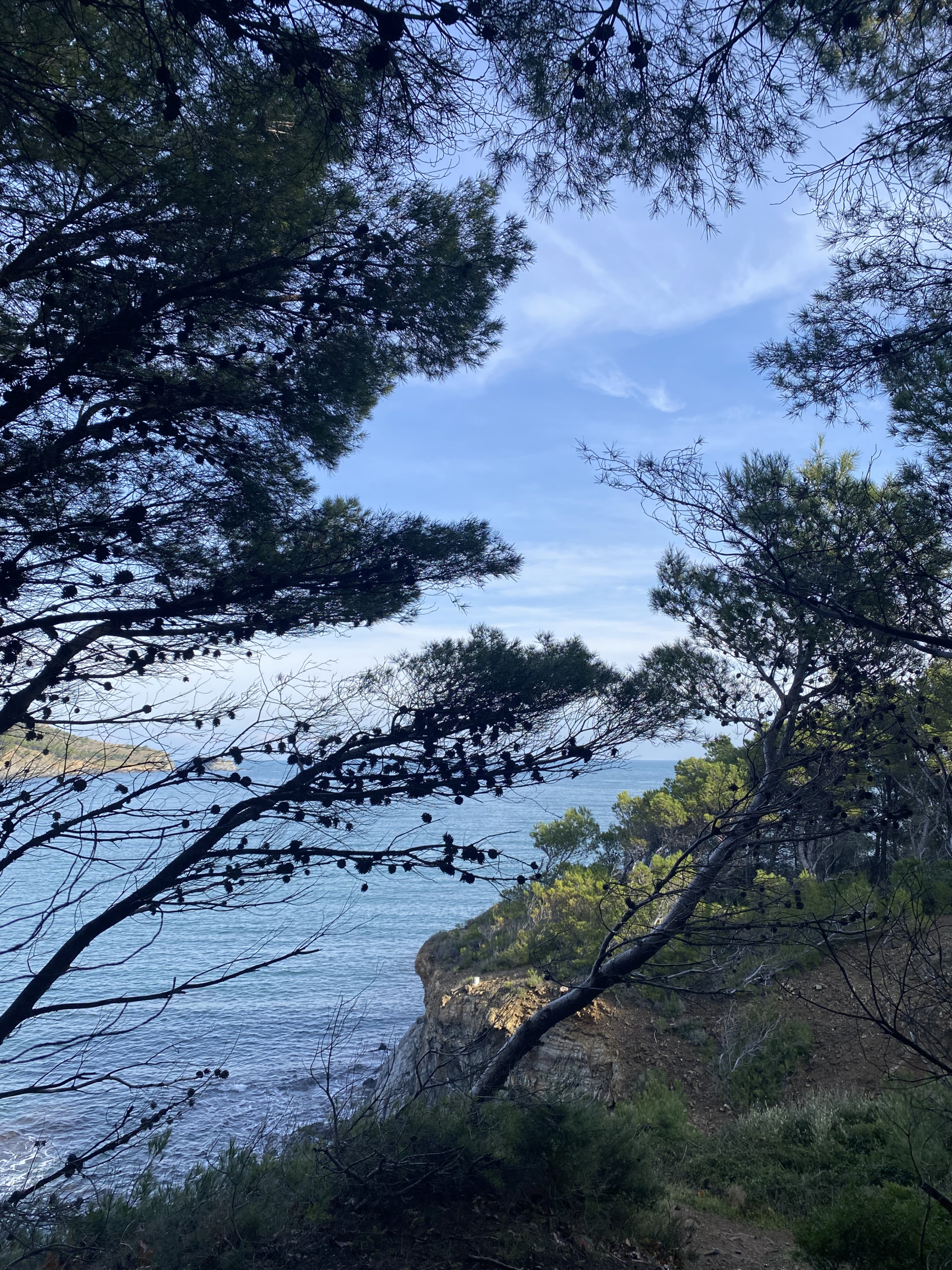 Cataluña, a medio camino del volcán, con una vista preciosa de Olot y sus colinas circundantes.