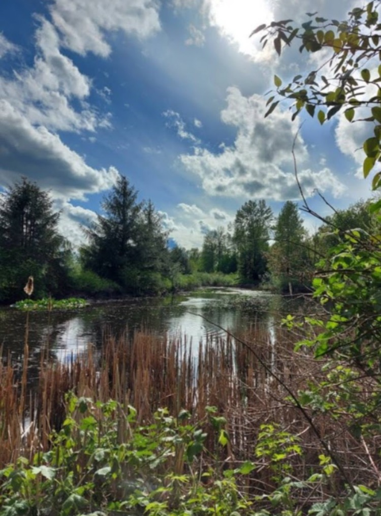 Camine hasta el cercano Gardner Park