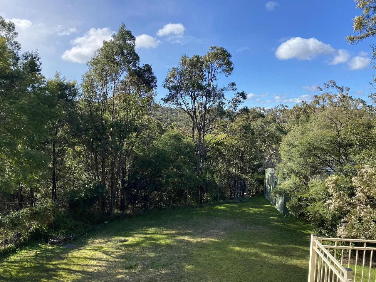 De volta para a mata, a vista do nosso espaçoso pátio.
